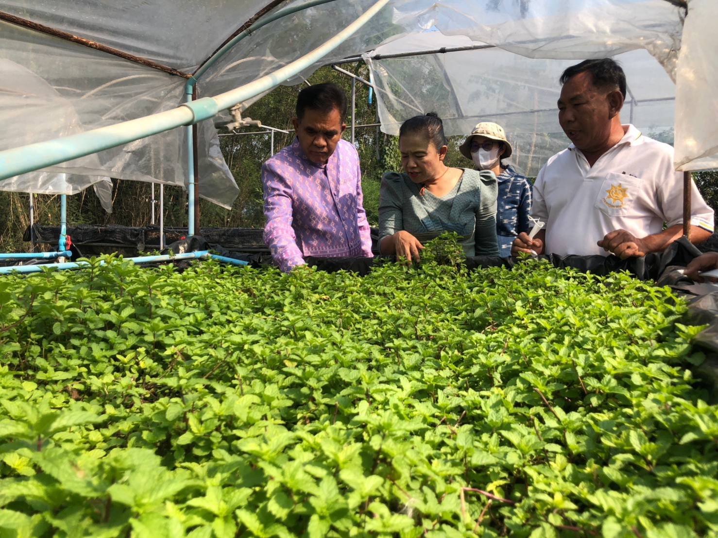 ผู้ตรวจราชการกรมการพัฒนาชุมชน ลงพื้นที่ตรวจติดตามผลการปฏิบัติราชการจังหวัดนนทบุรี