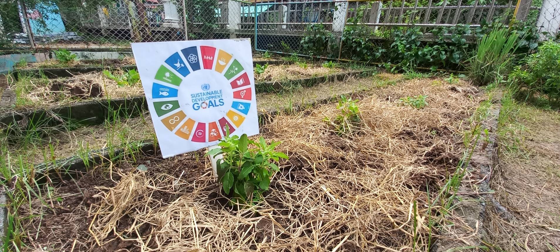 พช.ปากเกร็ด ผนึกกำลังผู้นำชุมชนเสริมสร้างทักษะเยาวชนไทยสร้างอาหารเป็น