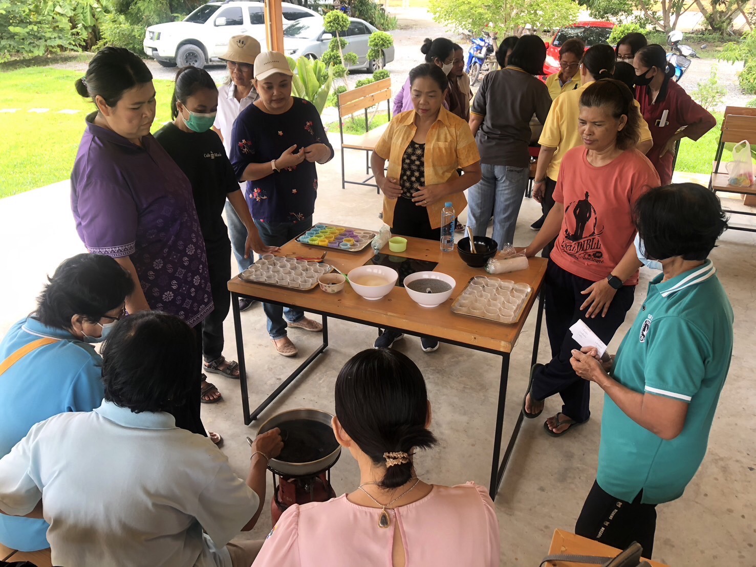 สพอ.ไทรน้อย ขับเคลื่อนการขจัดความยากจนขององค์กรสตรี ส่งเสริมอาชีพครัวเรือนยากจน