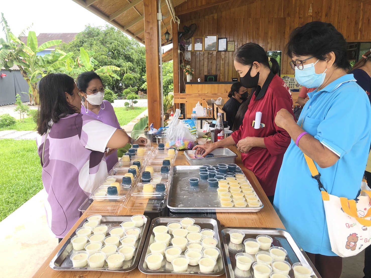 สพอ.ไทรน้อย ขับเคลื่อนการขจัดความยากจนขององค์กรสตรี ส่งเสริมอาชีพครัวเรือนยากจน