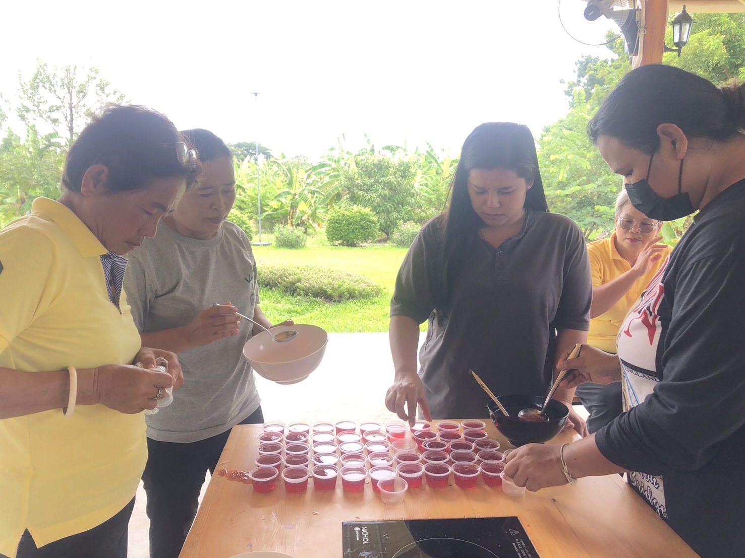 สพอ.ไทรน้อย ขับเคลื่อนการขจัดความยากจนขององค์กรสตรี ส่งเสริมอาชีพครัวเรือนยากจน