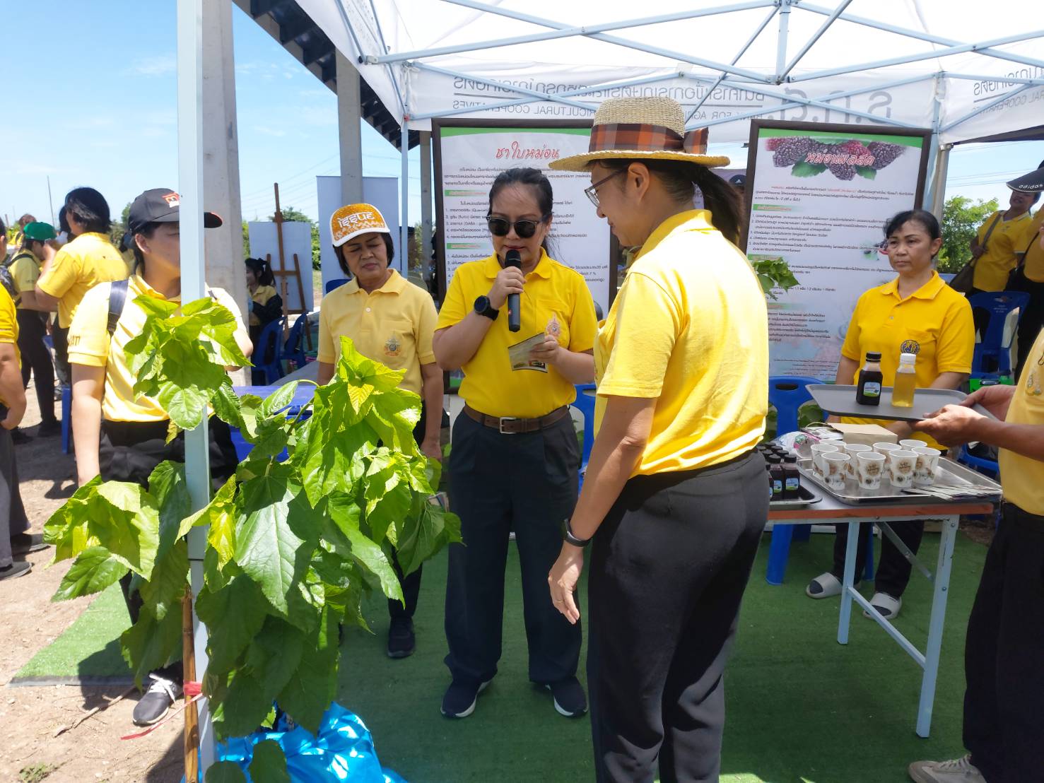 พช.นนทบุรีเข้าร่วมโครงการรณรงค์และส่งเสริมการปลูกหญ้าแฝกเฉลิมพระเกียรติพระบามสมเด็จพระเจ้าอยู่หัว เนื่องในโอกาสพระราชพิธีมหามงคลเฉลิมพระชนมพรรษา 6 รอบ 28 กรกฎาคม 2567