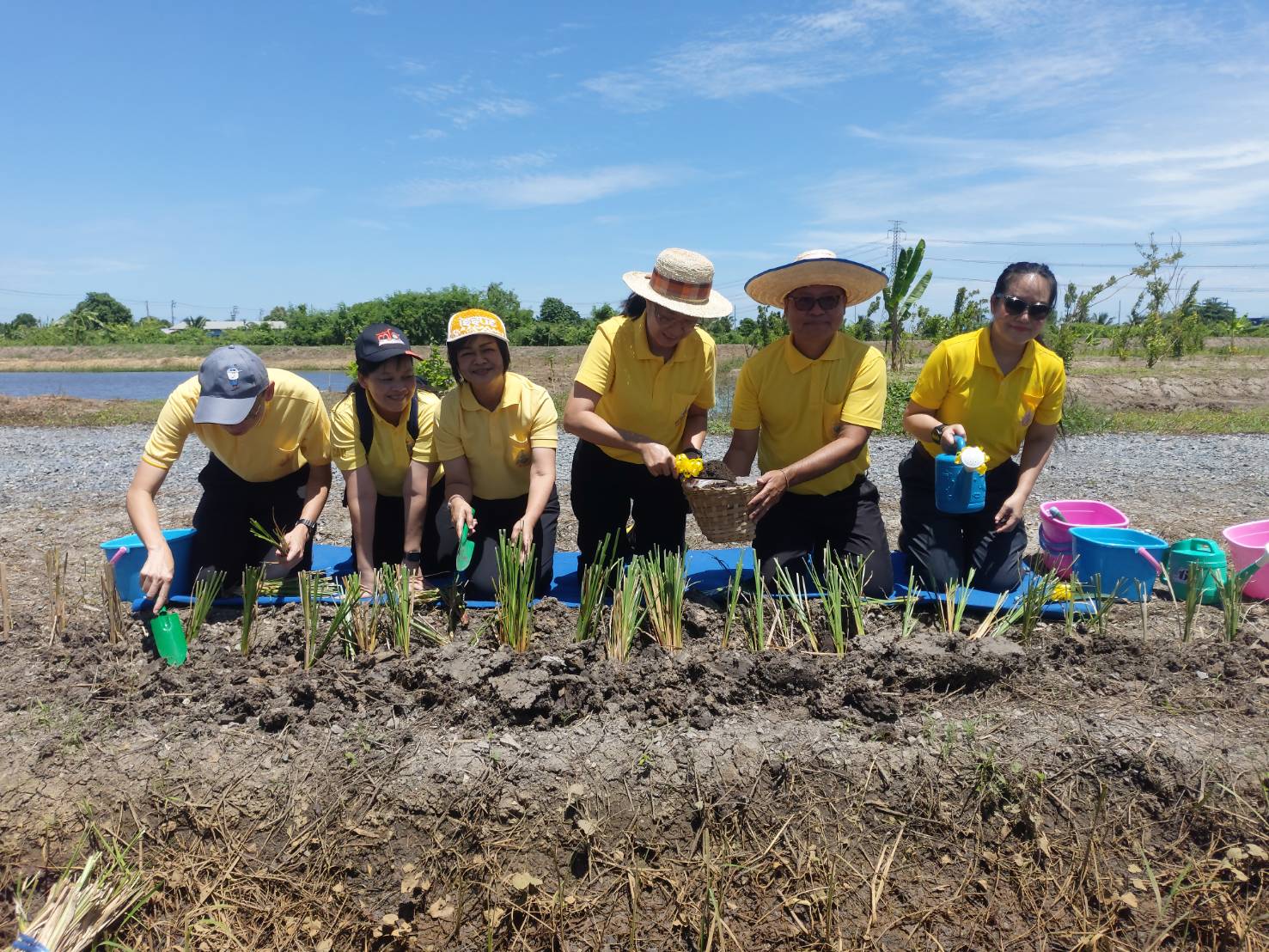 พช.นนทบุรีเข้าร่วมโครงการรณรงค์และส่งเสริมการปลูกหญ้าแฝกเฉลิมพระเกียรติพระบามสมเด็จพระเจ้าอยู่หัว เนื่องในโอกาสพระราชพิธีมหามงคลเฉลิมพระชนมพรรษา 6 รอบ 28 กรกฎาคม 2567