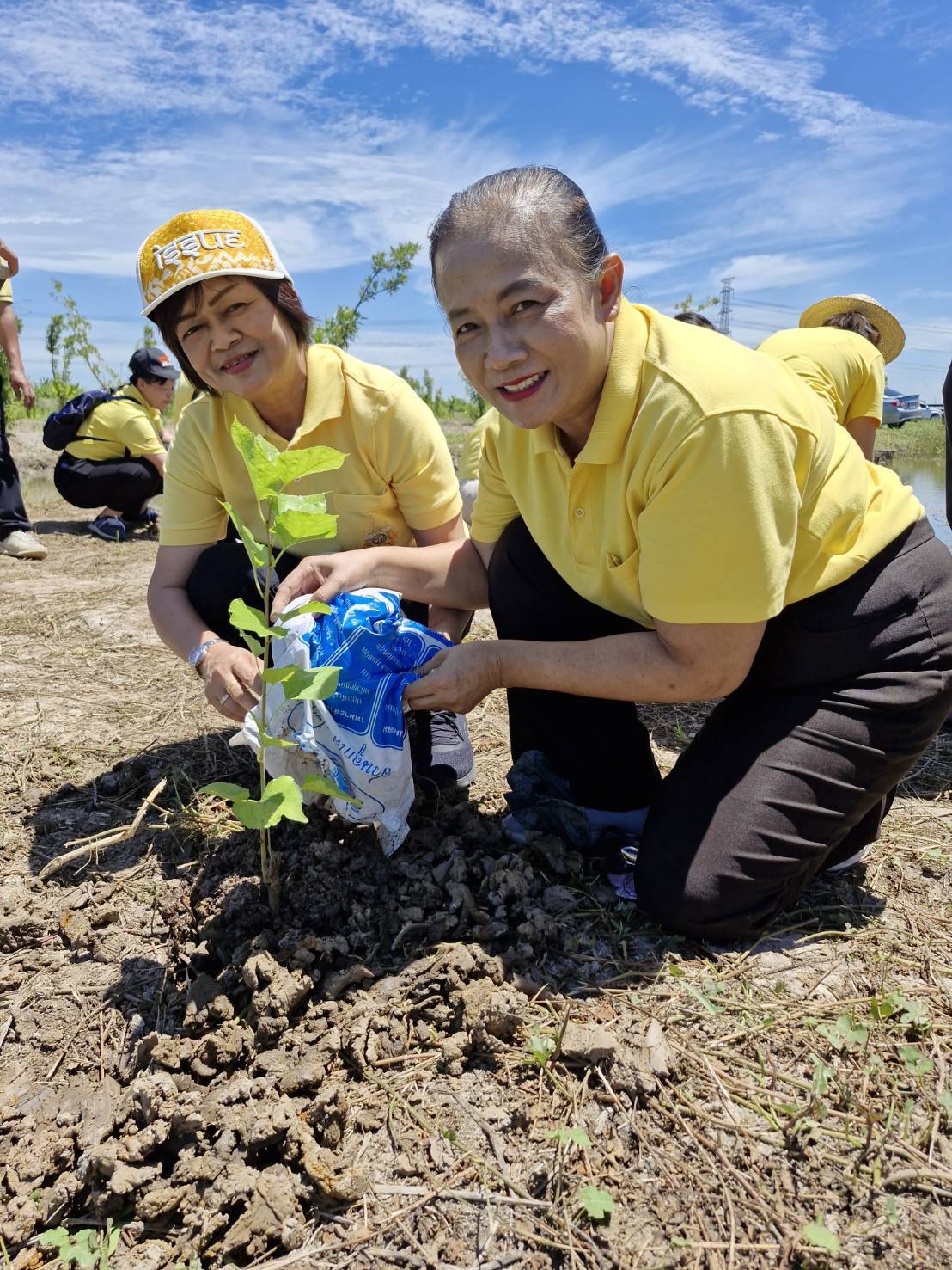 พช.นนทบุรีเข้าร่วมโครงการรณรงค์และส่งเสริมการปลูกหญ้าแฝกเฉลิมพระเกียรติพระบามสมเด็จพระเจ้าอยู่หัว เนื่องในโอกาสพระราชพิธีมหามงคลเฉลิมพระชนมพรรษา 6 รอบ 28 กรกฎาคม 2567