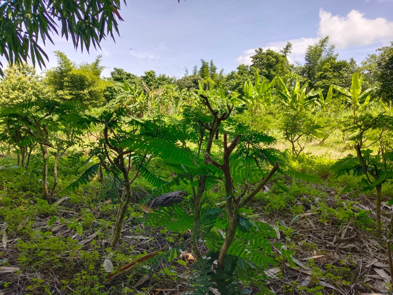 พช.ปากเกร็ดศึกษาดูงานศูนย์จัดการกองทุนชุมชนบ้านดงตากิต และบ้านหนองประดู่ จ.เพชรบุรี