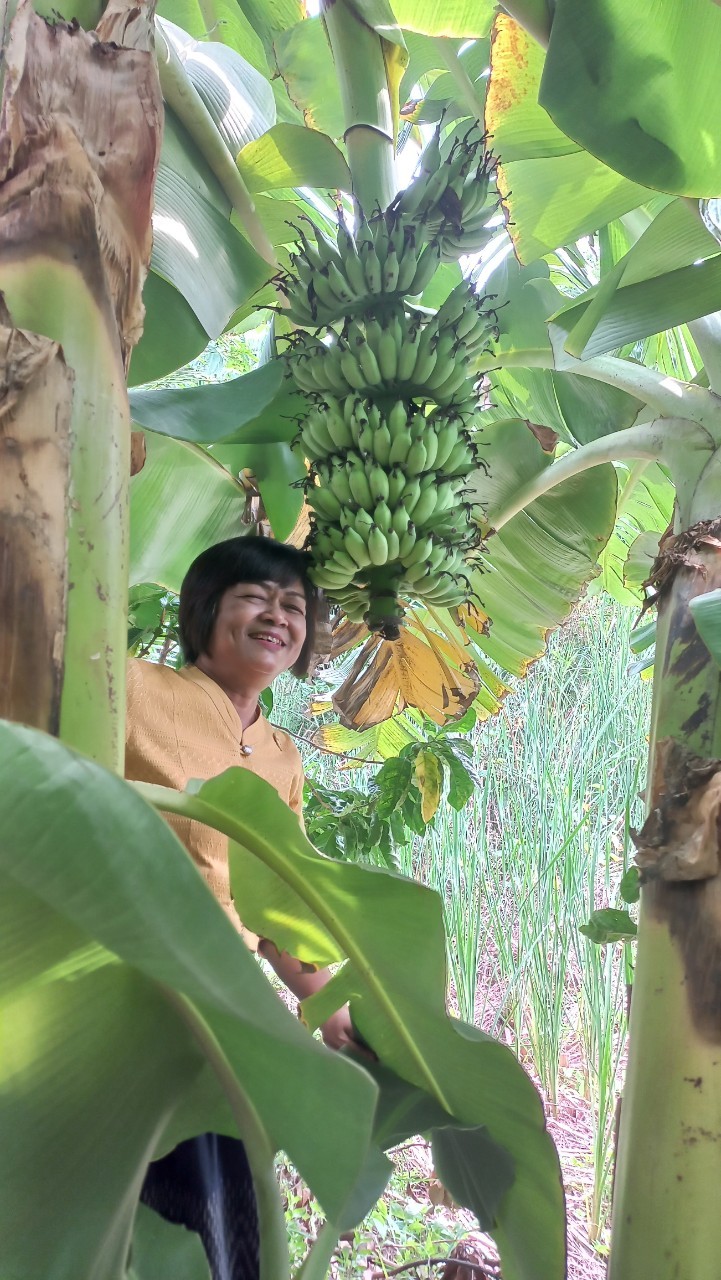 🚩พช.นนท์ ลงพื้นที่แปลงโคก หนอง นา