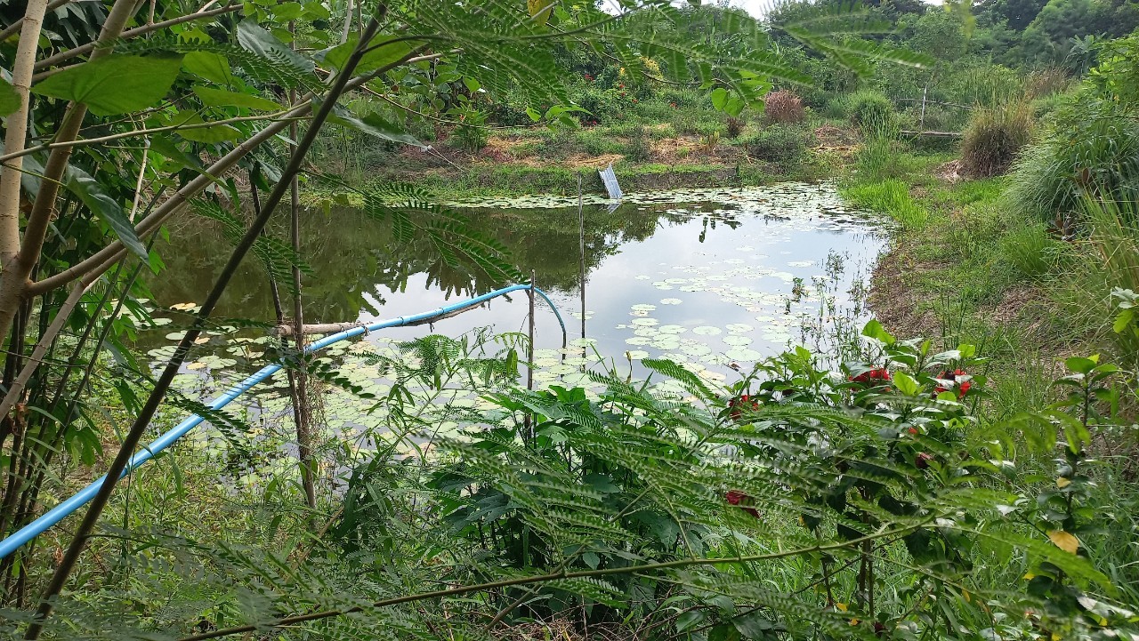 🚩พช.นนท์ ลงพื้นที่แปลงโคก หนอง นา