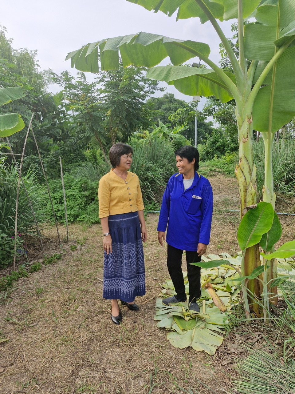 🚩พช.นนท์ ลงพื้นที่แปลงโคก หนอง นา