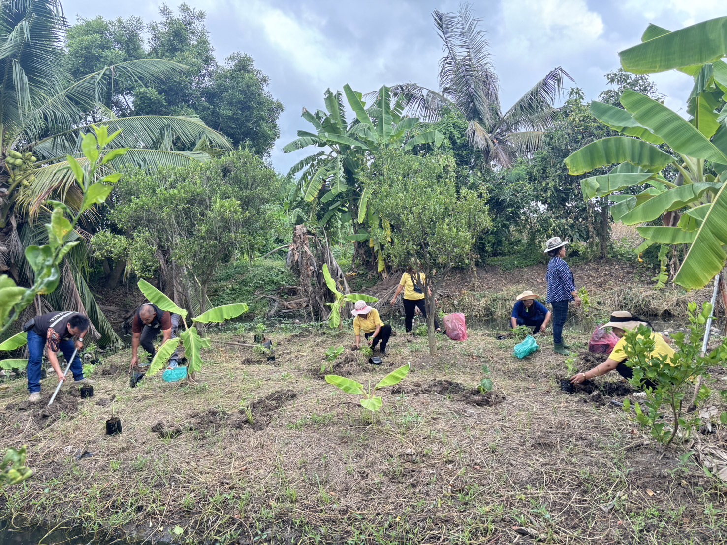 📢 พช.บางใหญ่ สนับสนุนโครงการสนับสนุนกิจกรรมตามแผนขับเคลื่อนการขจัดความยากจนขององค์กรสตรี กิจกรรมพัฒนาและส่งเสริมอาชีพ “บางใหญ่มีรัก ปลูกผักแบ่งปัน“