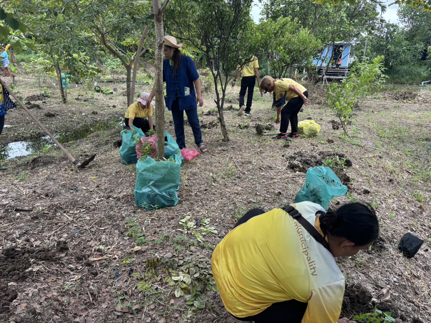 📢 พช.บางใหญ่ สนับสนุนโครงการสนับสนุนกิจกรรมตามแผนขับเคลื่อนการขจัดความยากจนขององค์กรสตรี กิจกรรมพัฒนาและส่งเสริมอาชีพ “บางใหญ่มีรัก ปลูกผักแบ่งปัน“