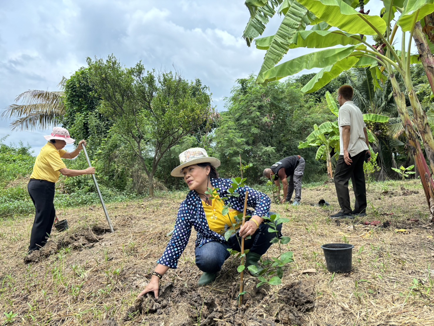 📢 พช.บางใหญ่ สนับสนุนโครงการสนับสนุนกิจกรรมตามแผนขับเคลื่อนการขจัดความยากจนขององค์กรสตรี กิจกรรมพัฒนาและส่งเสริมอาชีพ “บางใหญ่มีรัก ปลูกผักแบ่งปัน“