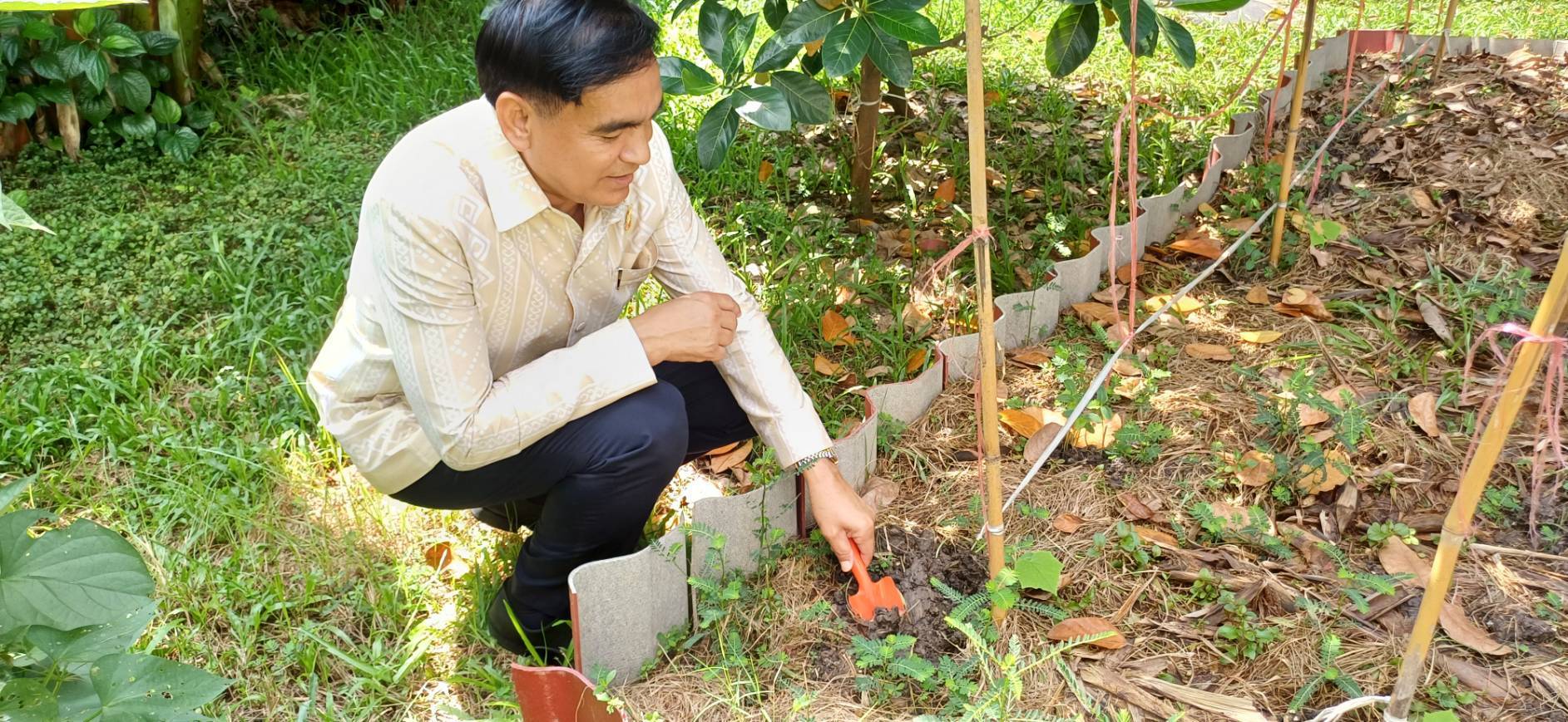 พช.ปากเกร็ดจัดกิจกรรมวันรักต้นไม้ประจำปีของชาติ พ.ศ.2567