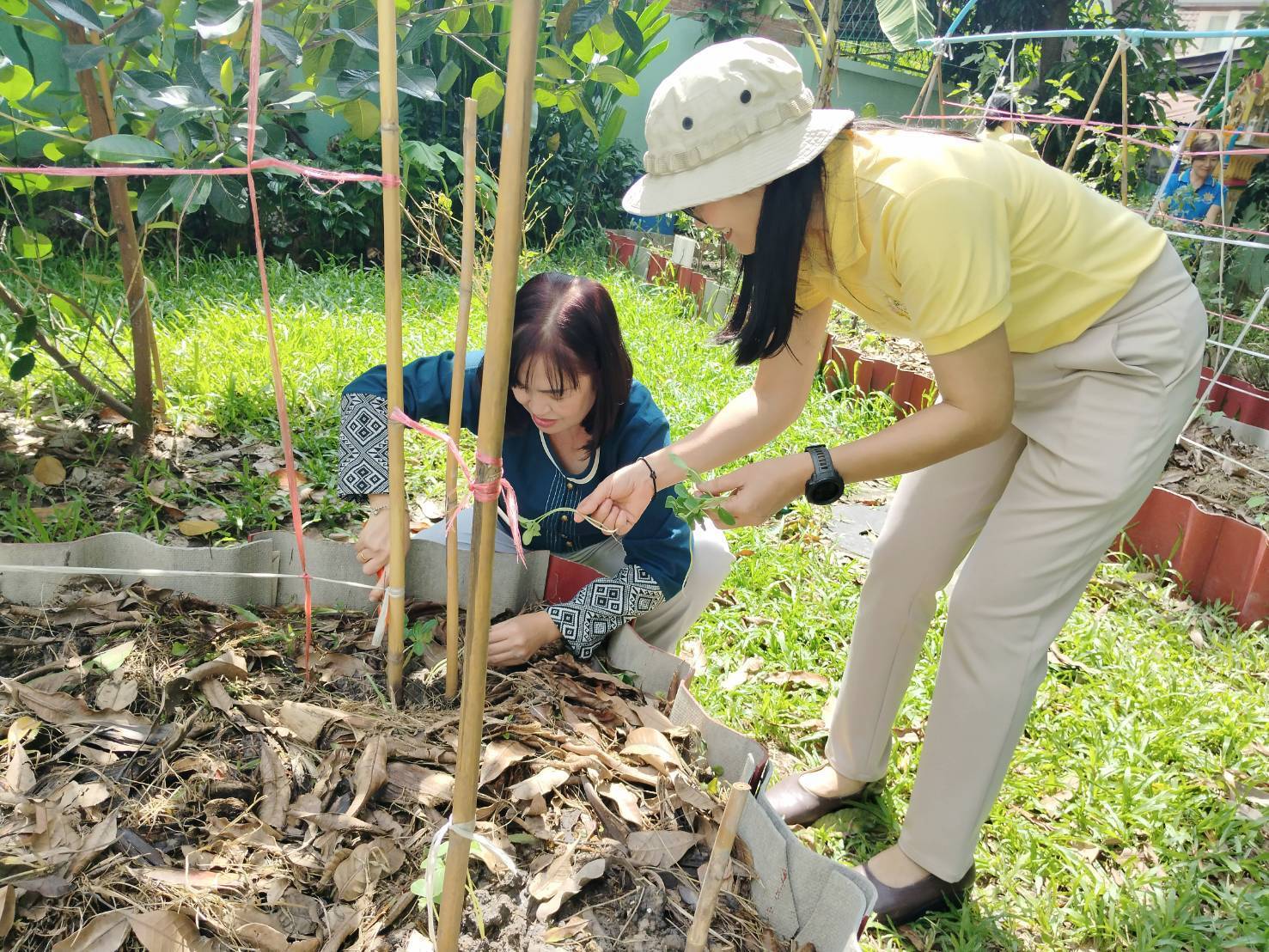 พช.ปากเกร็ดจัดกิจกรรมวันรักต้นไม้ประจำปีของชาติ พ.ศ.2567