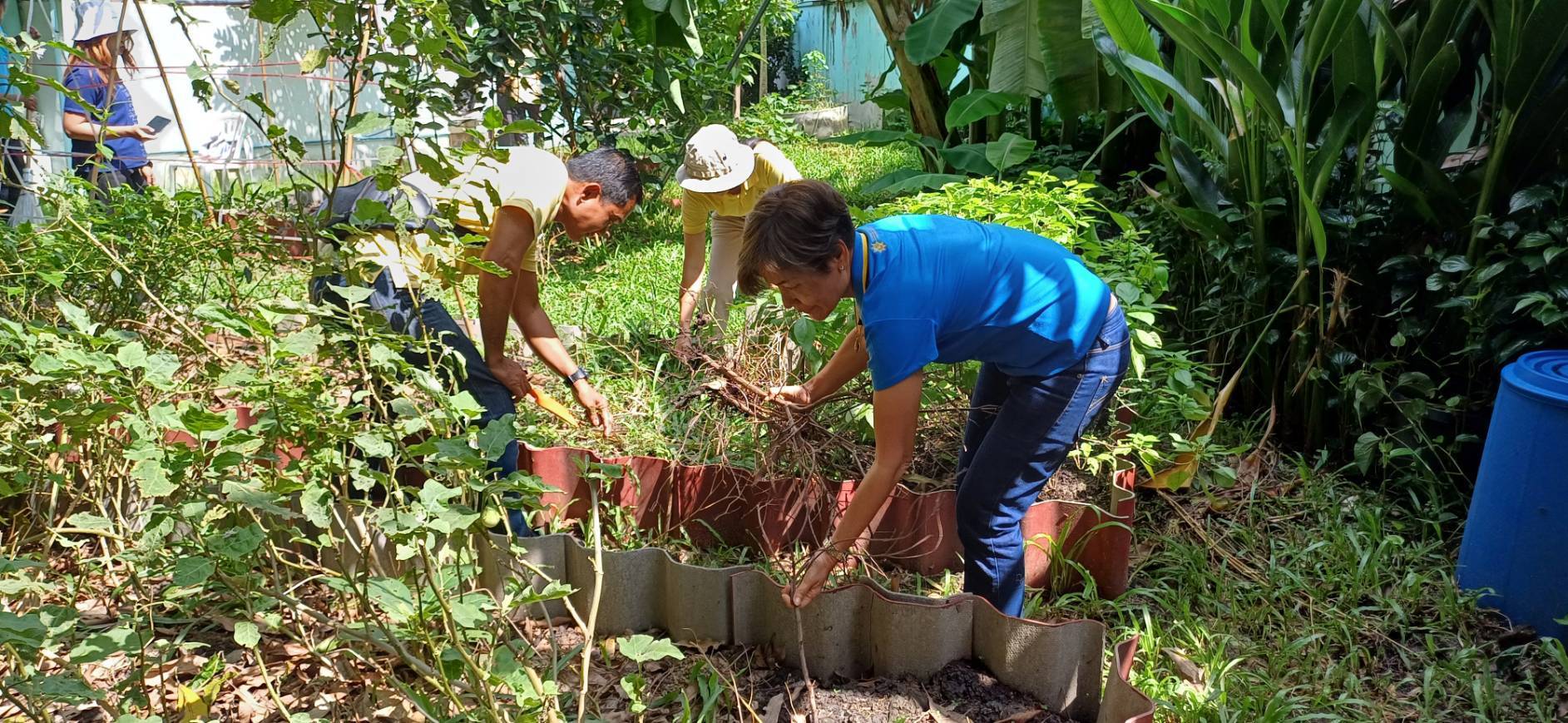 พช.ปากเกร็ดจัดกิจกรรมวันรักต้นไม้ประจำปีของชาติ พ.ศ.2567