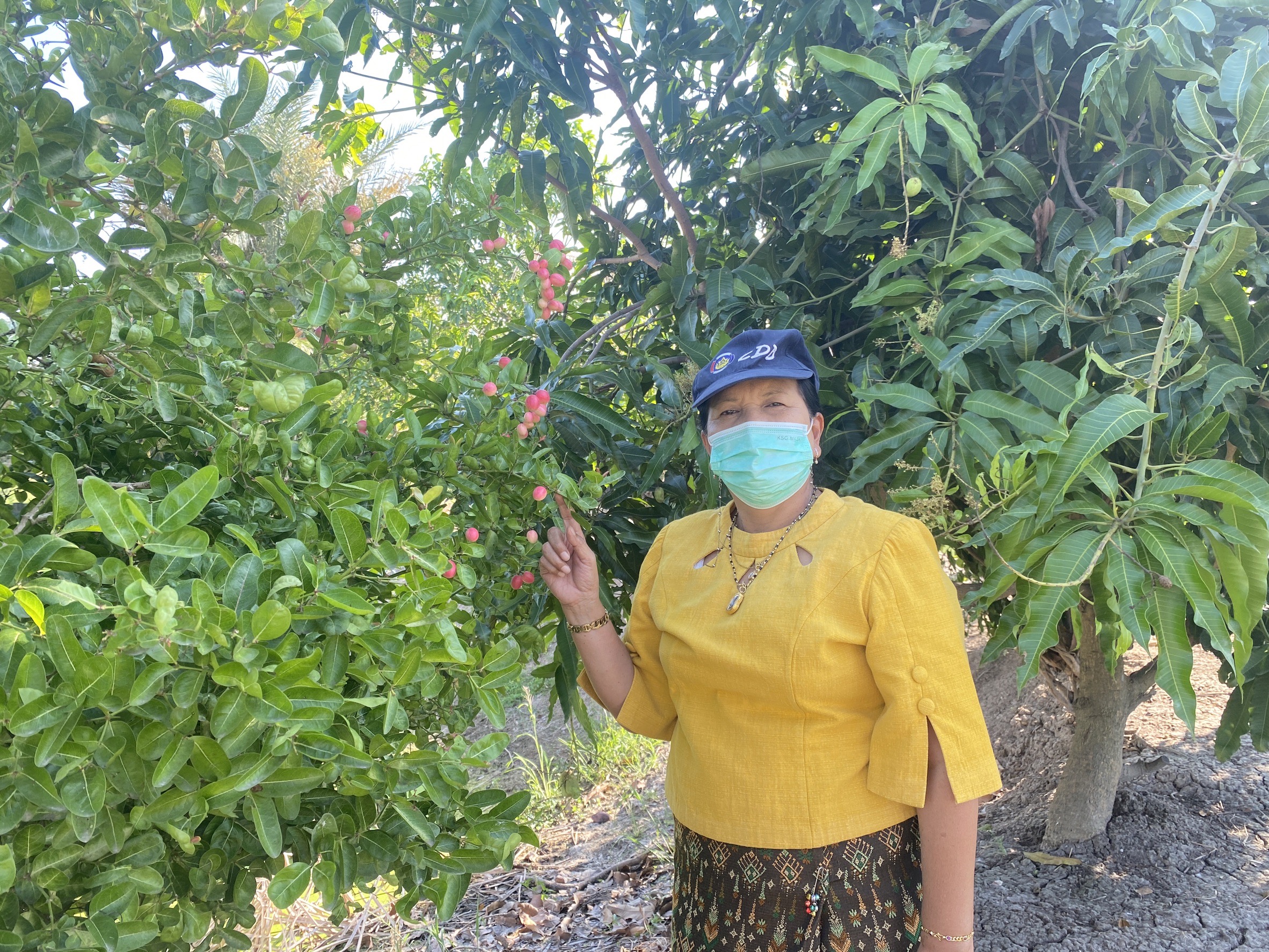 ”สพอ.ไทรน้อยลงพื้นที่เยี่ยมเยือนครัวเรือนต้นแบบการปลูกผักสวนครัวเพื่อสร้างความมั่นคงทางอาหาร ในพื้นที่ตำบลไทรน้อย“