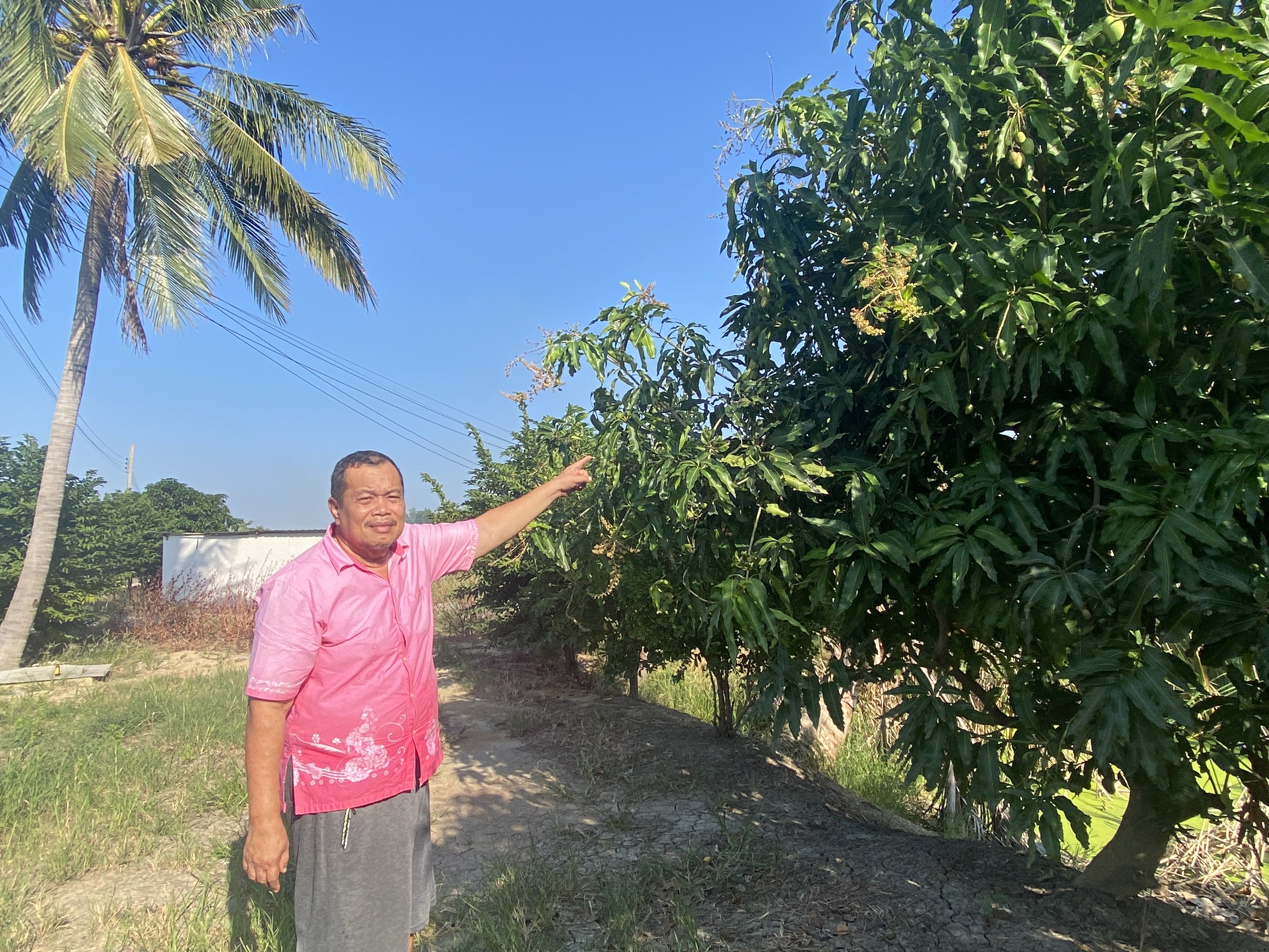 ”สพอ.ไทรน้อยลงพื้นที่เยี่ยมเยือนครัวเรือนต้นแบบการปลูกผักสวนครัวเพื่อสร้างความมั่นคงทางอาหาร ในพื้นที่ตำบลไทรน้อย“