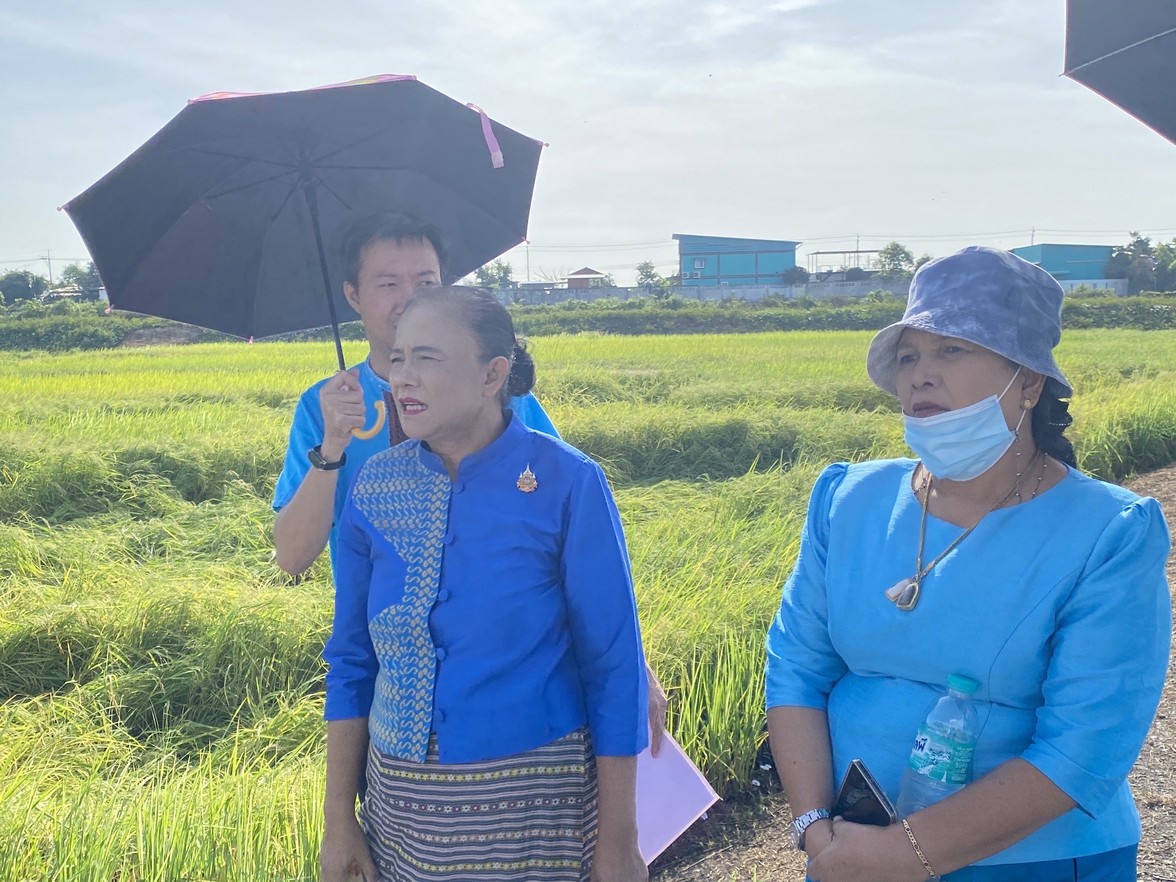 “สพจ. นนทบุรี ร่วมกับ สพอ. ไทรน้อย ลงพื้นที่ติดตามและตรวจเยี่ยม โคก หนอง นา ณ พื้นที่ตำบลไทรน้อย“