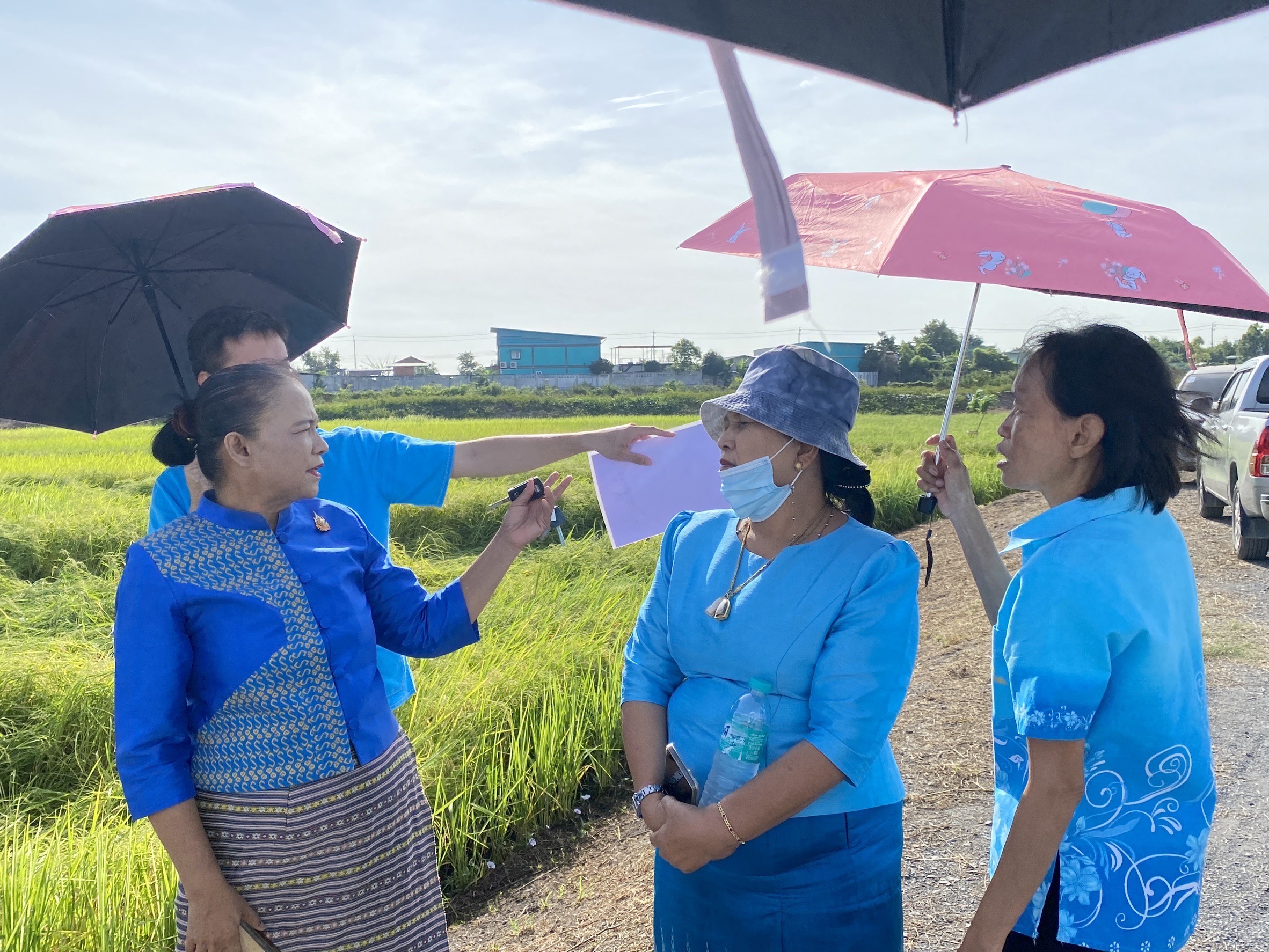 “สพจ. นนทบุรี ร่วมกับ สพอ. ไทรน้อย ลงพื้นที่ติดตามและตรวจเยี่ยม โคก หนอง นา ณ พื้นที่ตำบลไทรน้อย“