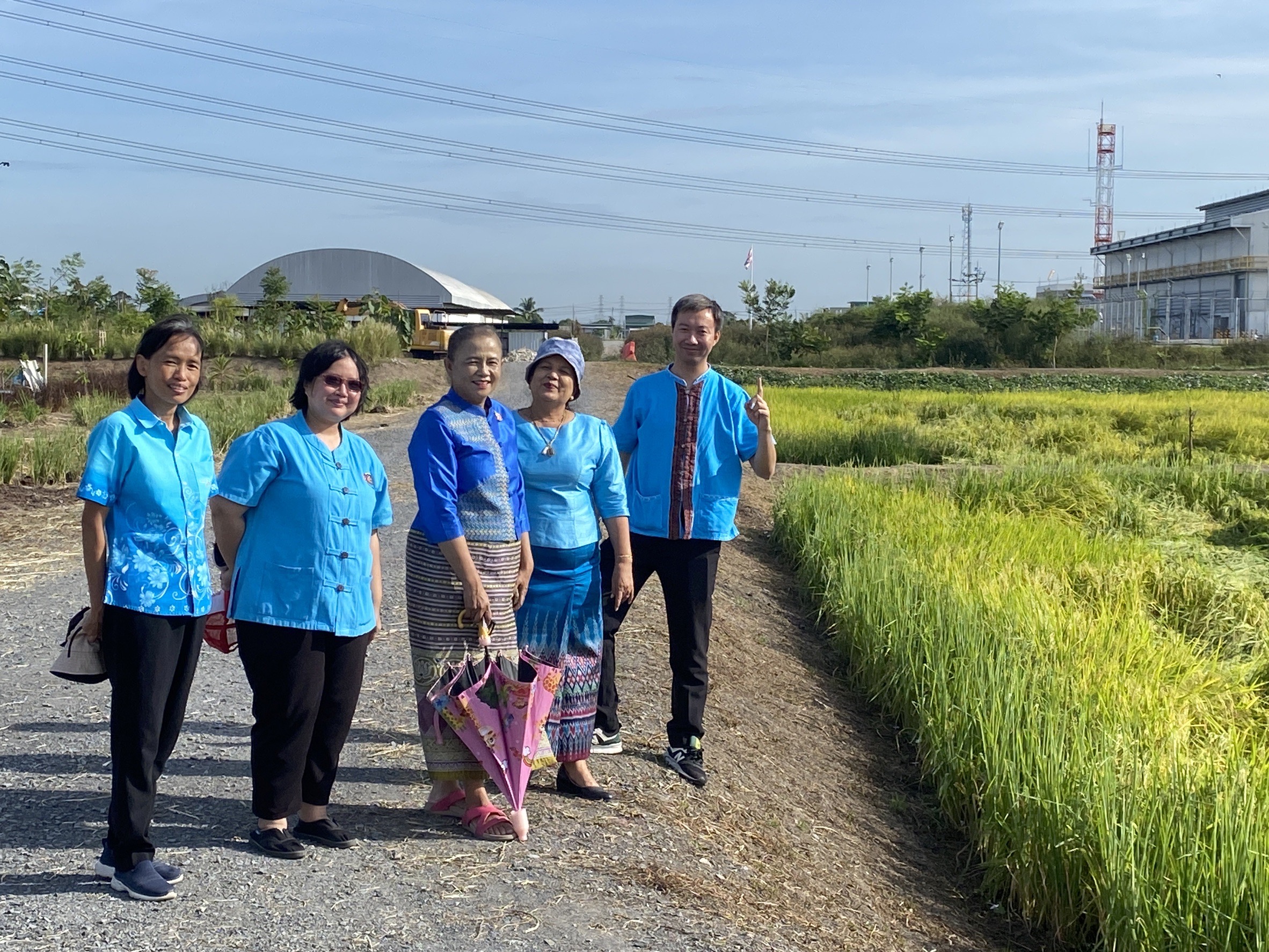 “สพจ. นนทบุรี ร่วมกับ สพอ. ไทรน้อย ลงพื้นที่ติดตามและตรวจเยี่ยม โคก หนอง นา ณ พื้นที่ตำบลไทรน้อย“