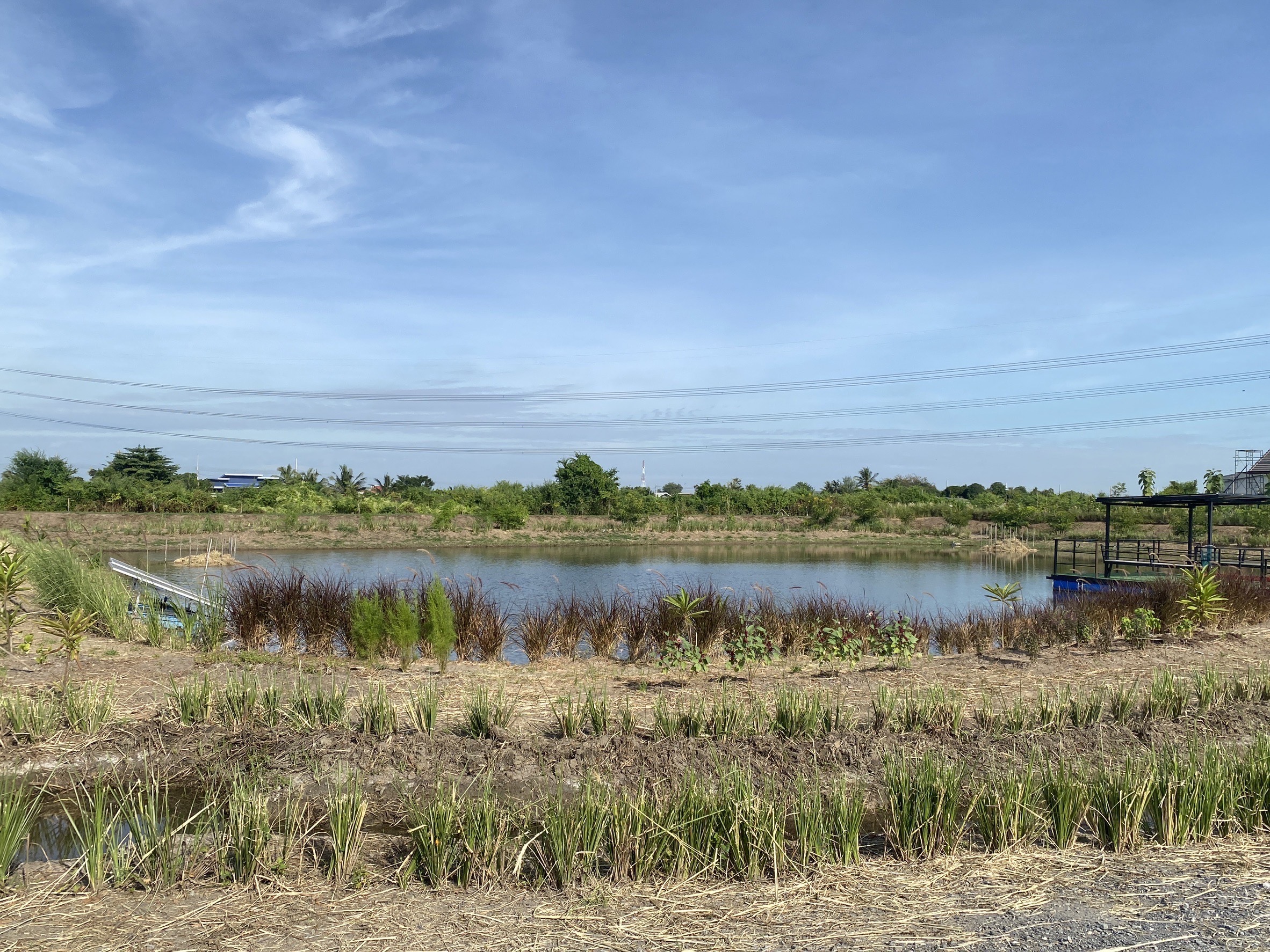 “สพจ. นนทบุรี ร่วมกับ สพอ. ไทรน้อย ลงพื้นที่ติดตามและตรวจเยี่ยม โคก หนอง นา ณ พื้นที่ตำบลไทรน้อย“