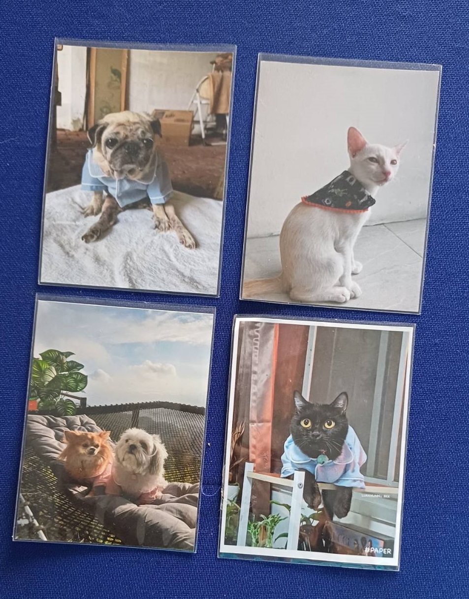 “พช.ปากเกร็ด ขับเคลื่อนโครงการหนึ่งตำบล หนึ่งผลิตภัณฑ์ จัดประชุมคณะอนุกรรมการหนึ่งตำบล หนึ่งผลิตภัณฑ์อำเภอปากเกร็ด ครั้งที่ 3/2567”