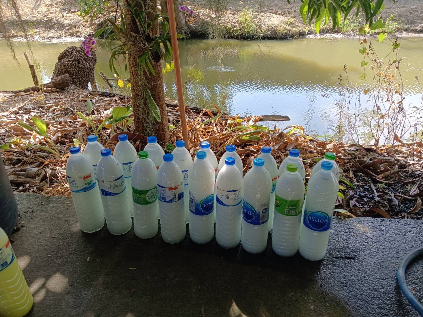 สำนักงานพัฒนาชุมชนอำเภอปากเกร็ด ดำเนินโครงการเตรียมความพร้อมหมู่บ้านแพร่ระบาดยาเสพติดพัฒนาสู่หมู่บ้านต้นกล้ากองทุนแม่ของแผ่นดิน