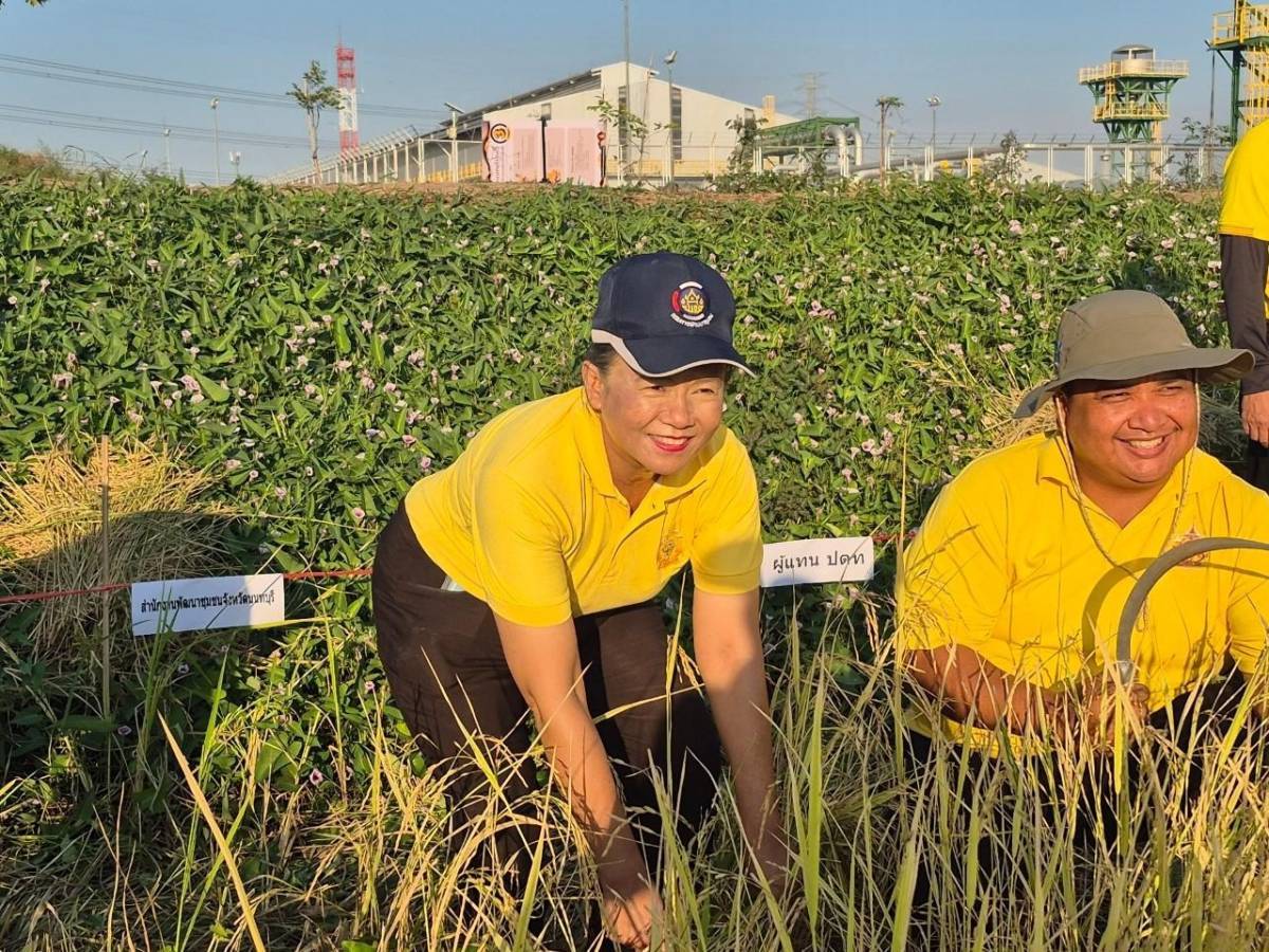 พช.นนทบุรีร่วมกิจกรรมโครงการ การพัฒนาบริหารจัดการน้ำรูปแบบ “โคก หนอง นา โมเดล : การผสมผสานระหว่างวิถีชุมชน และท่อส่งก๊าซธรรมชาติใต้ดิน” เพื่อเฉลิมพระเกียรติพระบาทสมเด็จพระเจ้าอยู่หัว เนื่องในโอกาสมหามงคลเฉลิมพระชนมพรรษา 6 รอบ 28 กรกฎาคม 2567
