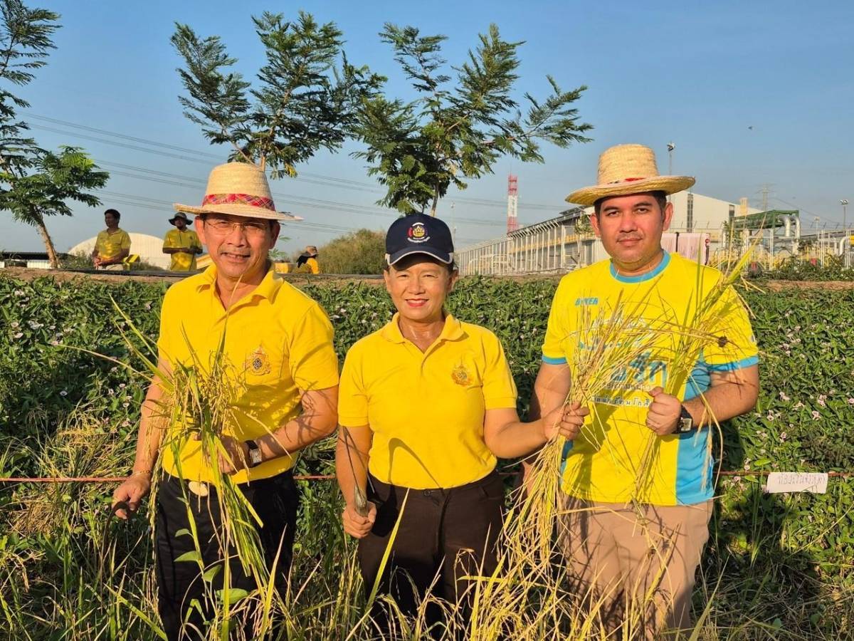 พช.นนทบุรีร่วมกิจกรรมโครงการ การพัฒนาบริหารจัดการน้ำรูปแบบ “โคก หนอง นา โมเดล : การผสมผสานระหว่างวิถีชุมชน และท่อส่งก๊าซธรรมชาติใต้ดิน” เพื่อเฉลิมพระเกียรติพระบาทสมเด็จพระเจ้าอยู่หัว เนื่องในโอกาสมหามงคลเฉลิมพระชนมพรรษา 6 รอบ 28 กรกฎาคม 2567