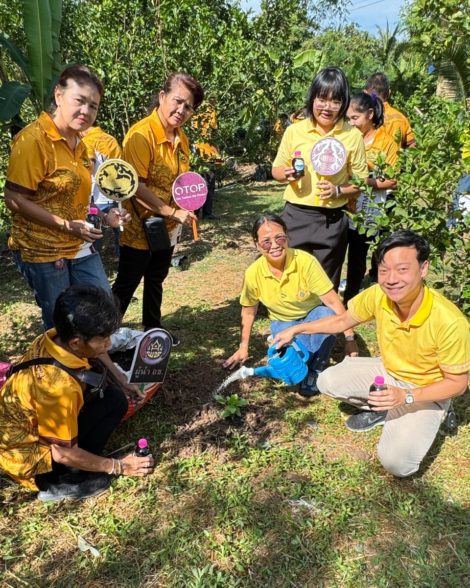 สพอ.เมืองนนทบุรีร่วมกิจกรรมปลูกผักสวนครัว สร้างความมั่นคงทางอาหาร เนื่องในวันดินโลก (World Soil Day) ภายใต้แนวคิด “ใส่ใจมาตรฐาน ตรวจวัดจัดการ ดินดียั่งยืน (Caring for Soils)”