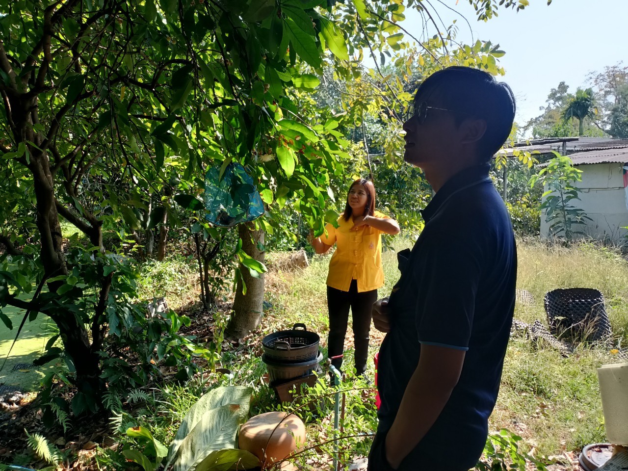พช.บางกรวย ลงพื้นที่ศูนย์เรียนรู้การเพิ่มประสิทธิภาพการผลิตสินค้าเกษตร (ศพก.) อำเภอบางกรวย