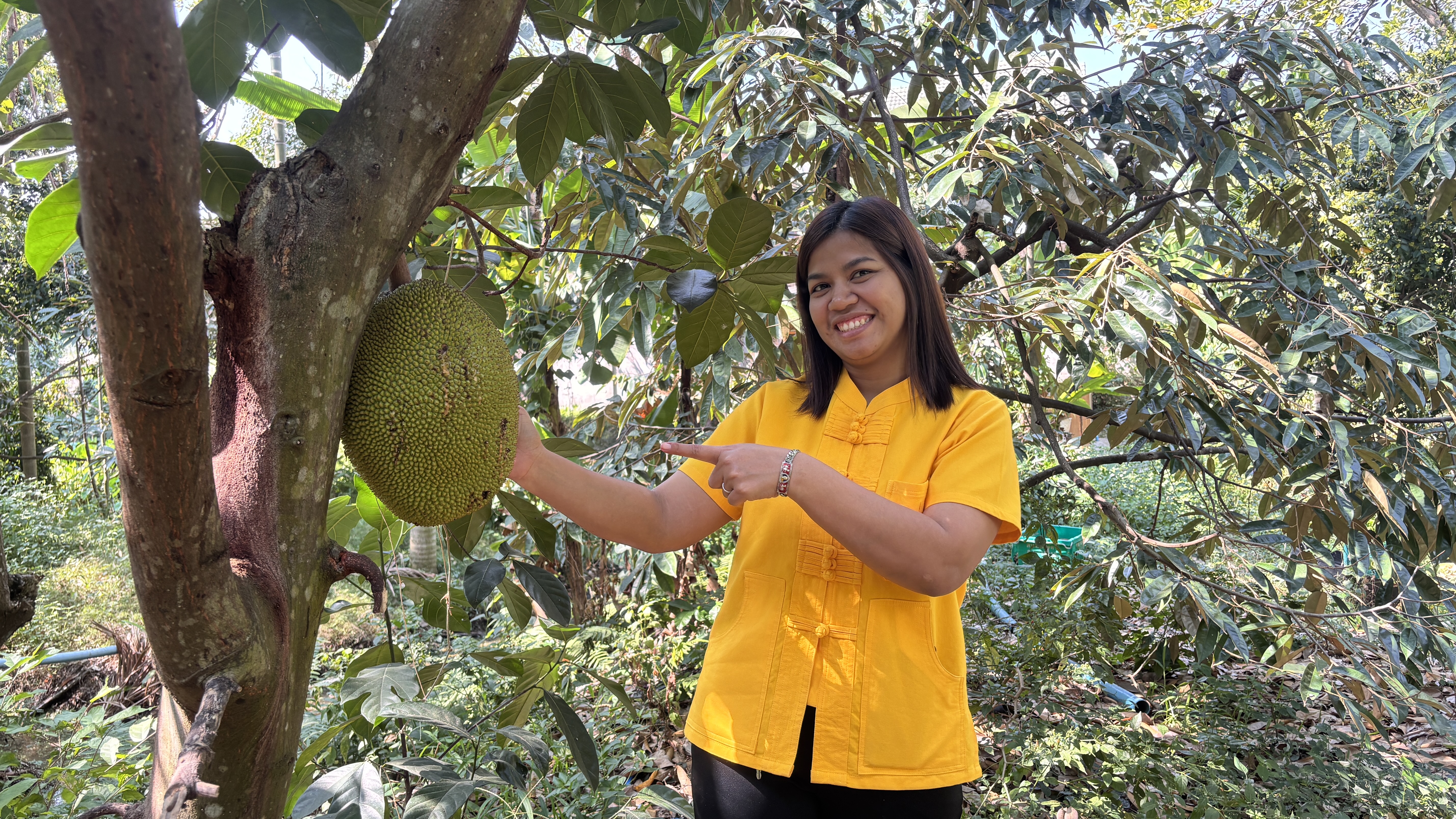 พช.บางกรวย ลงพื้นที่ศูนย์เรียนรู้การเพิ่มประสิทธิภาพการผลิตสินค้าเกษตร (ศพก.) อำเภอบางกรวย