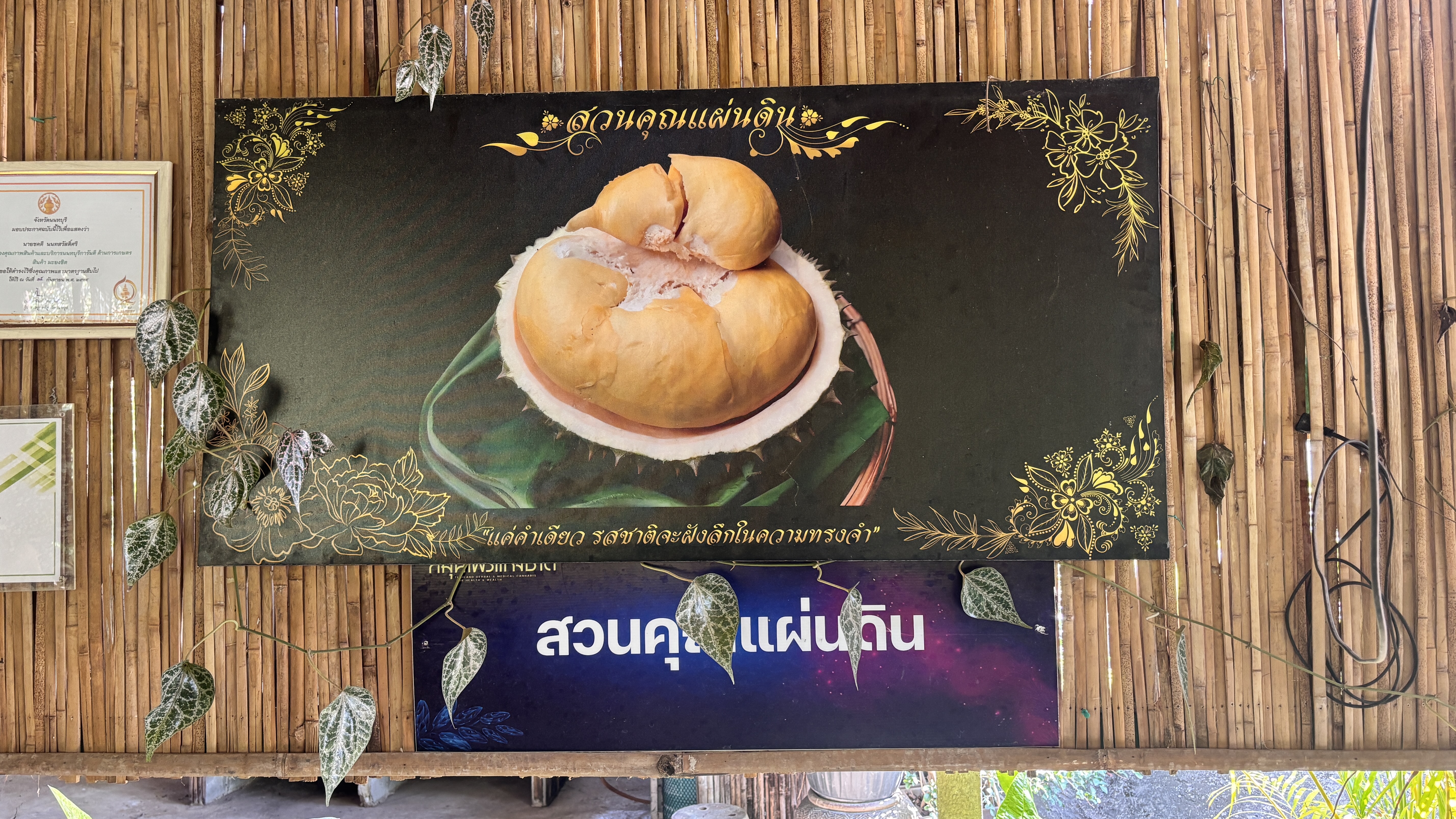 พช.บางกรวย ลงพื้นที่ศูนย์เรียนรู้การเพิ่มประสิทธิภาพการผลิตสินค้าเกษตร (ศพก.) อำเภอบางกรวย