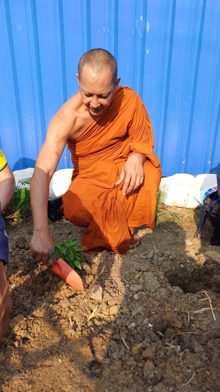 พช.ปากเกร็ดจัดกิจกรรมปลูกผักสวนครัว ตามโครงการอช.ร่วมใจ ขจัดภัยแก้จน พัฒนาชุมชน อย่างพอเพียง อำเภอปากเกร็ด