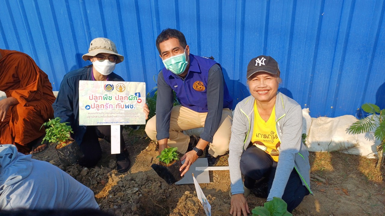 พช.ปากเกร็ดจัดกิจกรรมปลูกผักสวนครัว ตามโครงการอช.ร่วมใจ ขจัดภัยแก้จน พัฒนาชุมชน อย่างพอเพียง อำเภอปากเกร็ด