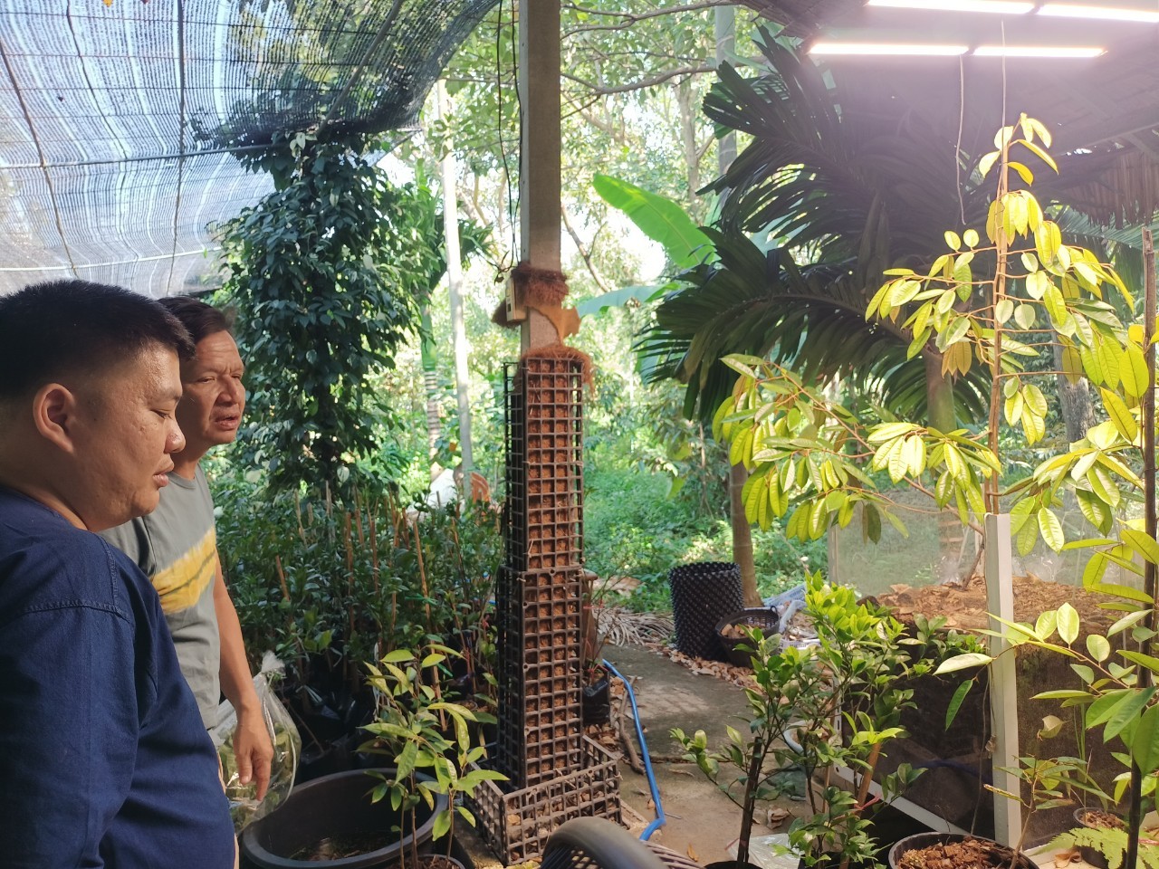 พช.บางกรวย ลงพื้นที่ศูนย์เรียนรู้การเพิ่มประสิทธิภาพการผลิตสินค้าเกษตร (ศพก.) อำเภอบางกรวย