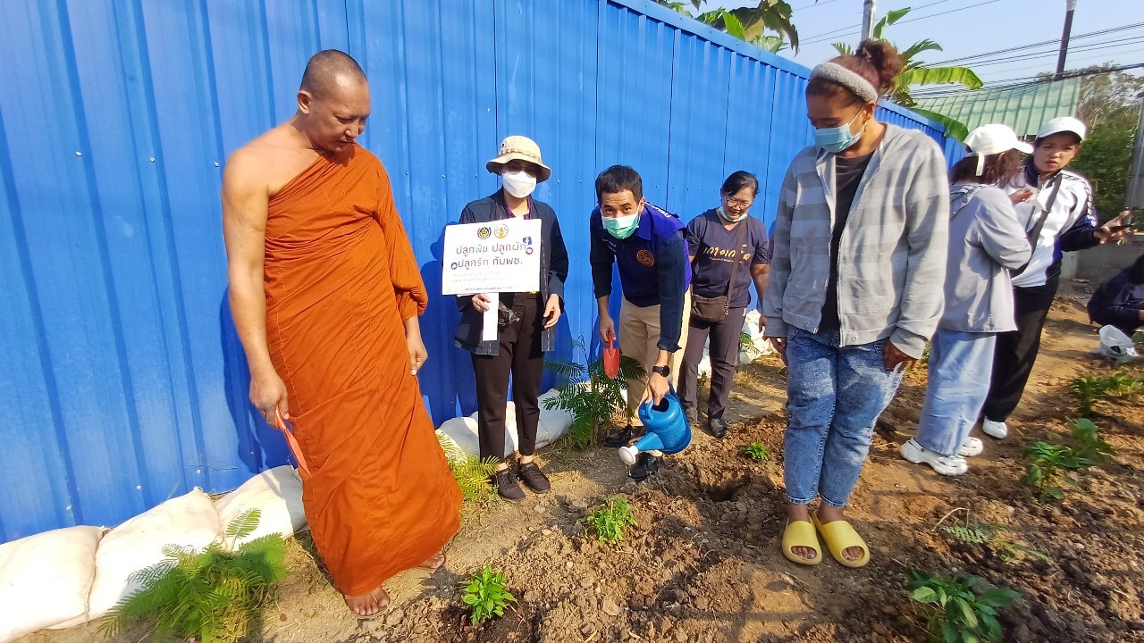 พช.ปากเกร็ดจัดกิจกรรมปลูกผักสวนครัว ตามโครงการอช.ร่วมใจ ขจัดภัยแก้จน พัฒนาชุมชน อย่างพอเพียง อำเภอปากเกร็ด