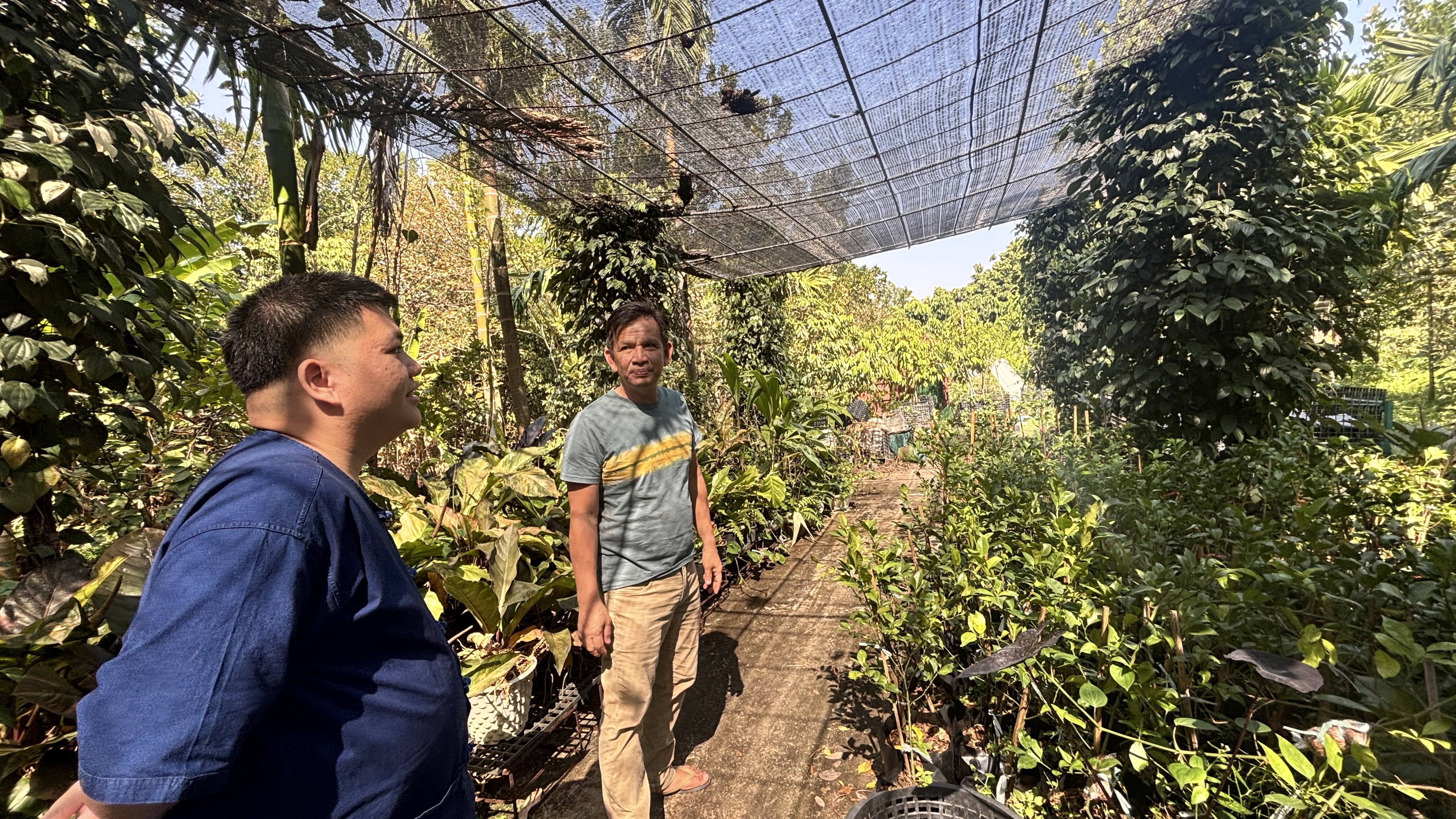 พช.บางกรวย ลงพื้นที่ศูนย์เรียนรู้การเพิ่มประสิทธิภาพการผลิตสินค้าเกษตร (ศพก.) อำเภอบางกรวย