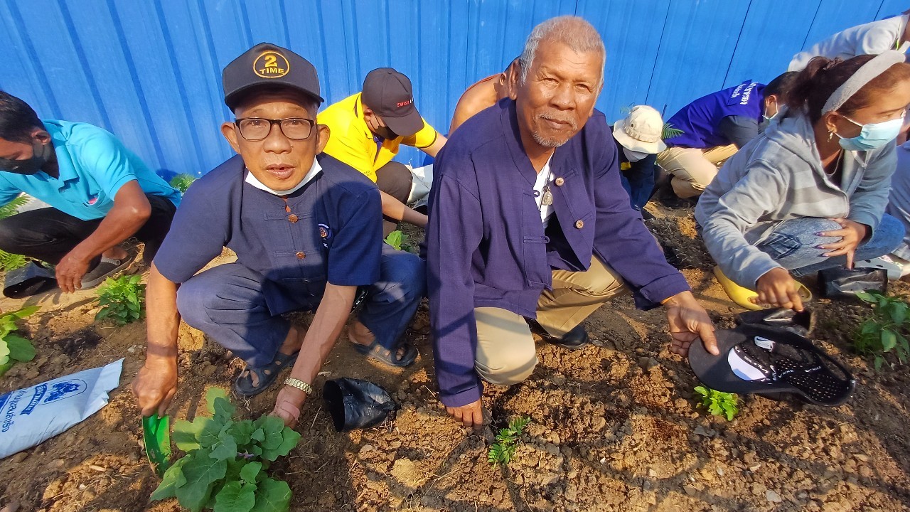 พช.ปากเกร็ดจัดกิจกรรมปลูกผักสวนครัว ตามโครงการอช.ร่วมใจ ขจัดภัยแก้จน พัฒนาชุมชน อย่างพอเพียง อำเภอปากเกร็ด