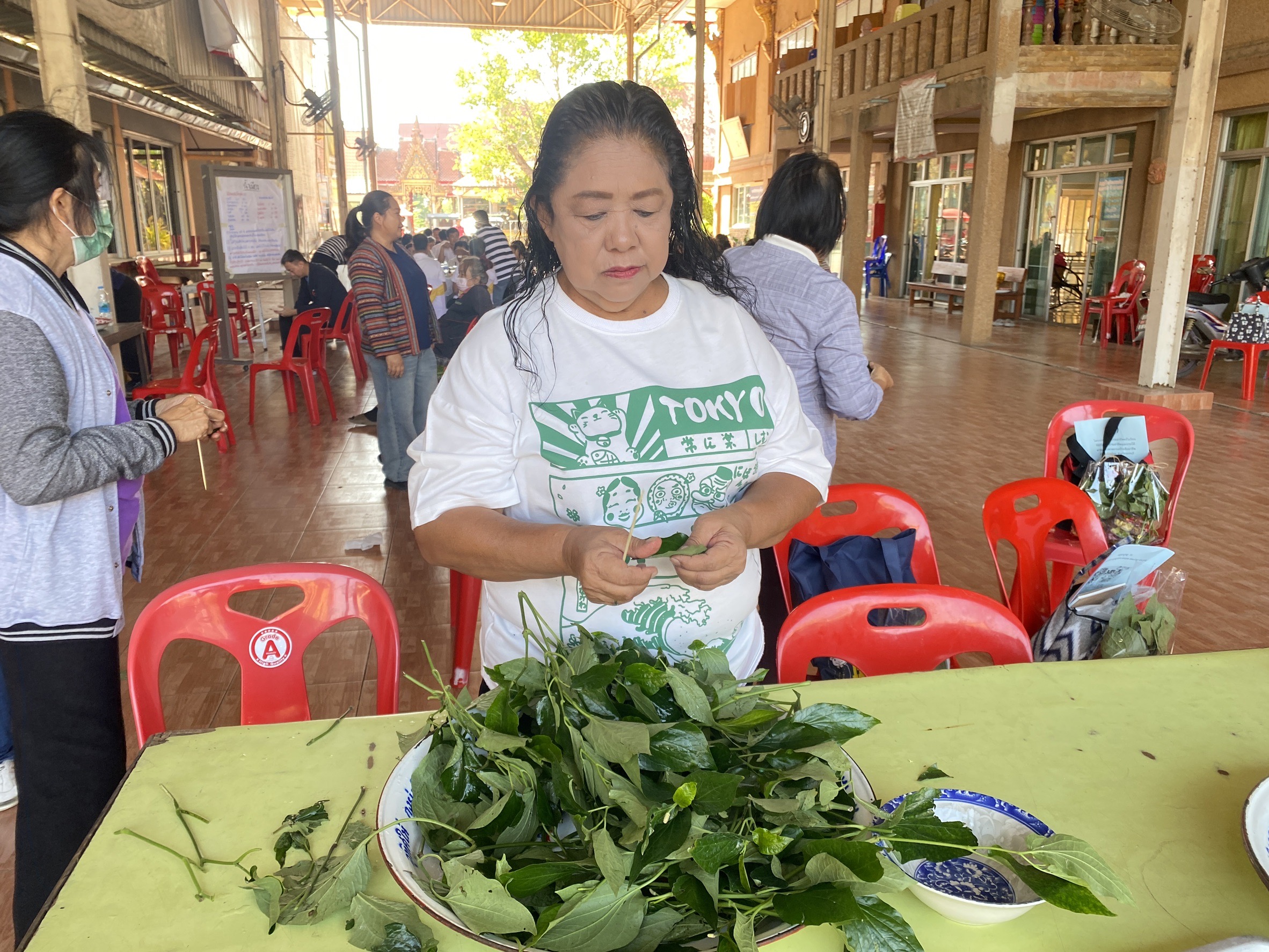”สพอ.ไทรน้อยดำเนินโครงการฝึกอบรมอาชีพครัวเรือนที่มีปัญหาด้านอาชีพและรายได้ตามแนวทางการสร้างสัมมาชีพชุมชน“