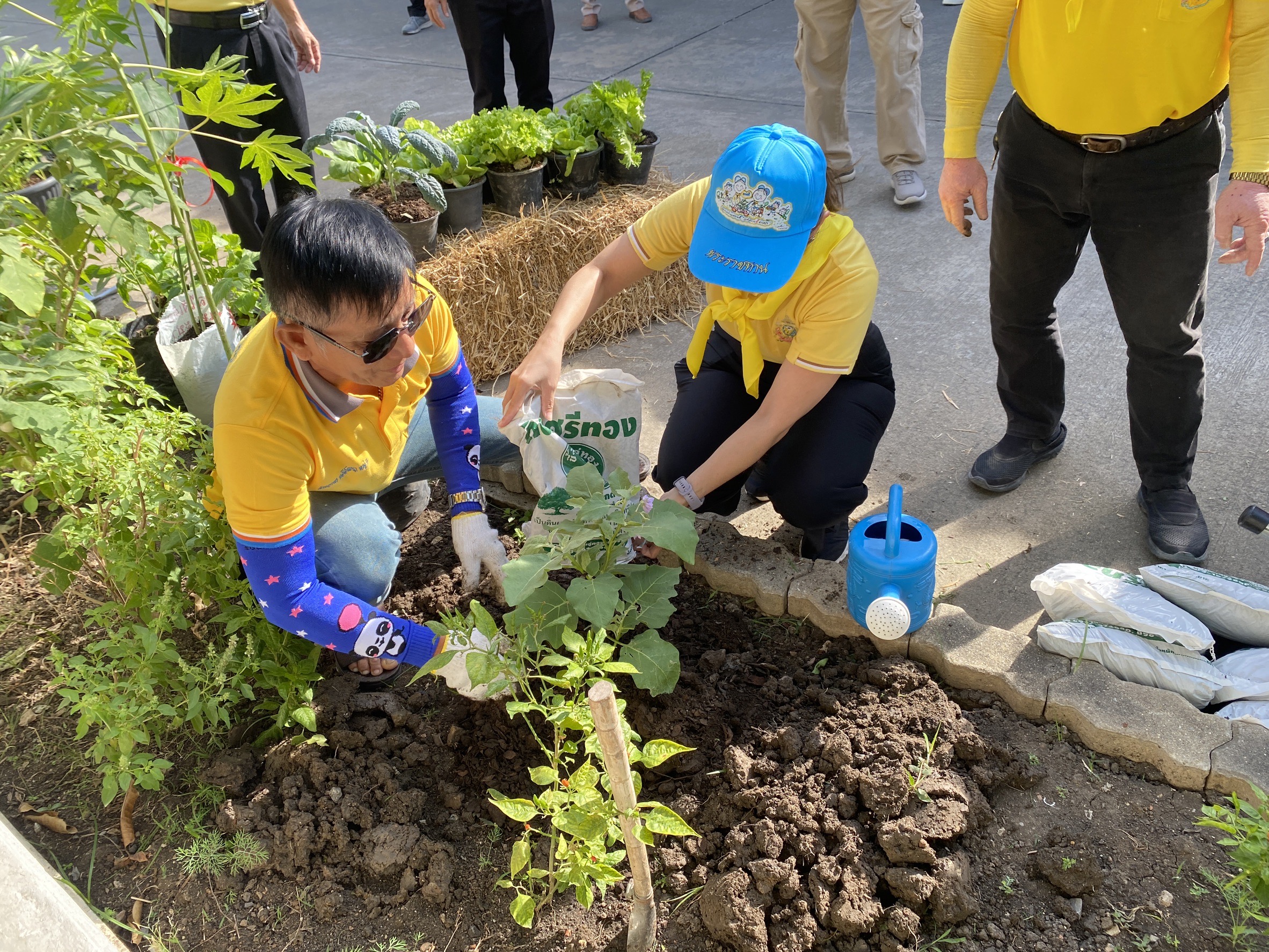 “สพอ.ไทรน้อยขับเคลื่อนกิจกรรมส่งเสริมการปลูกผักสวนครัวเพื่อสร้างความมั่นคงทางอาหาร (Food Security) “