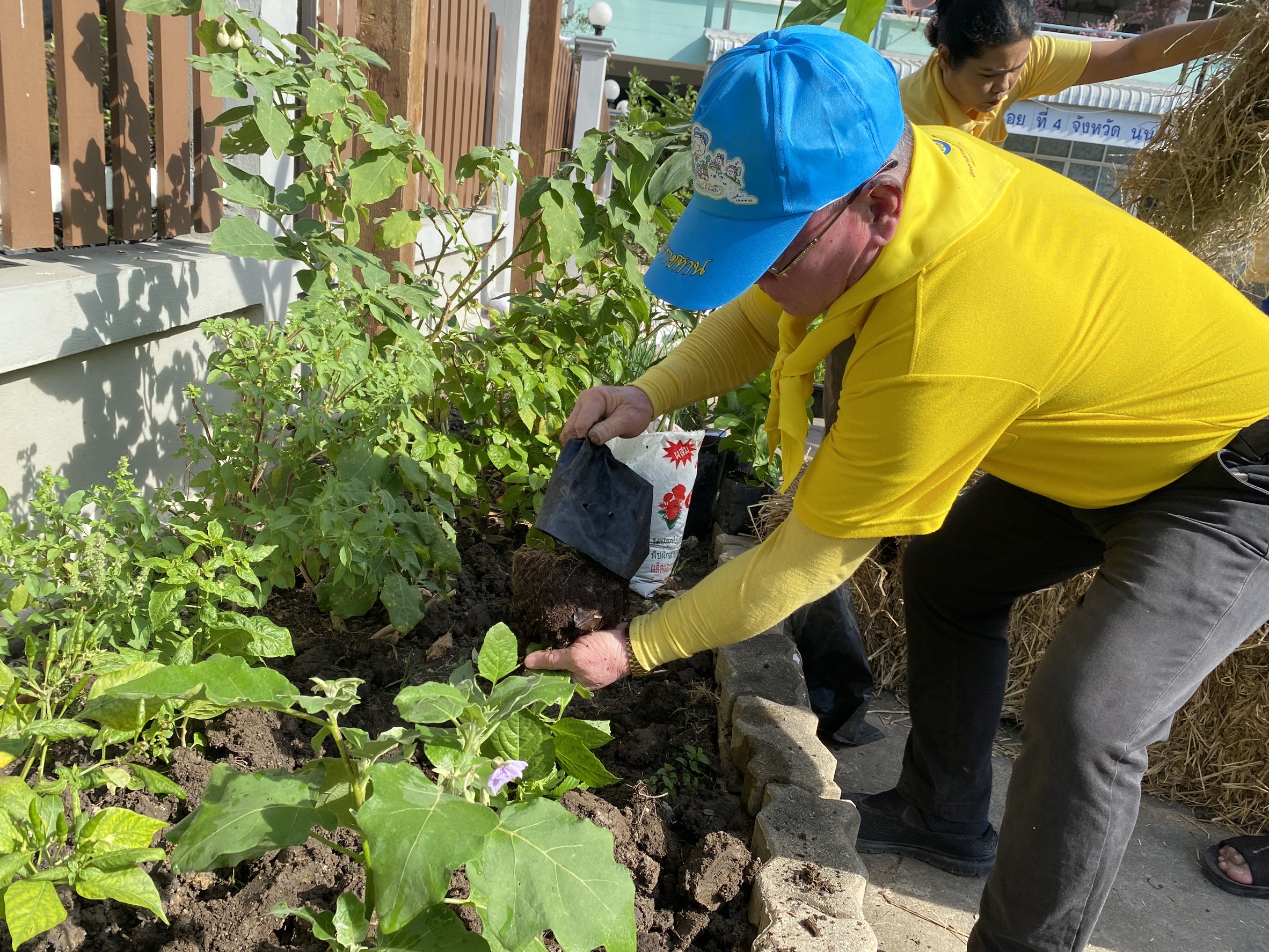 “สพอ.ไทรน้อยขับเคลื่อนกิจกรรมส่งเสริมการปลูกผักสวนครัวเพื่อสร้างความมั่นคงทางอาหาร (Food Security) “