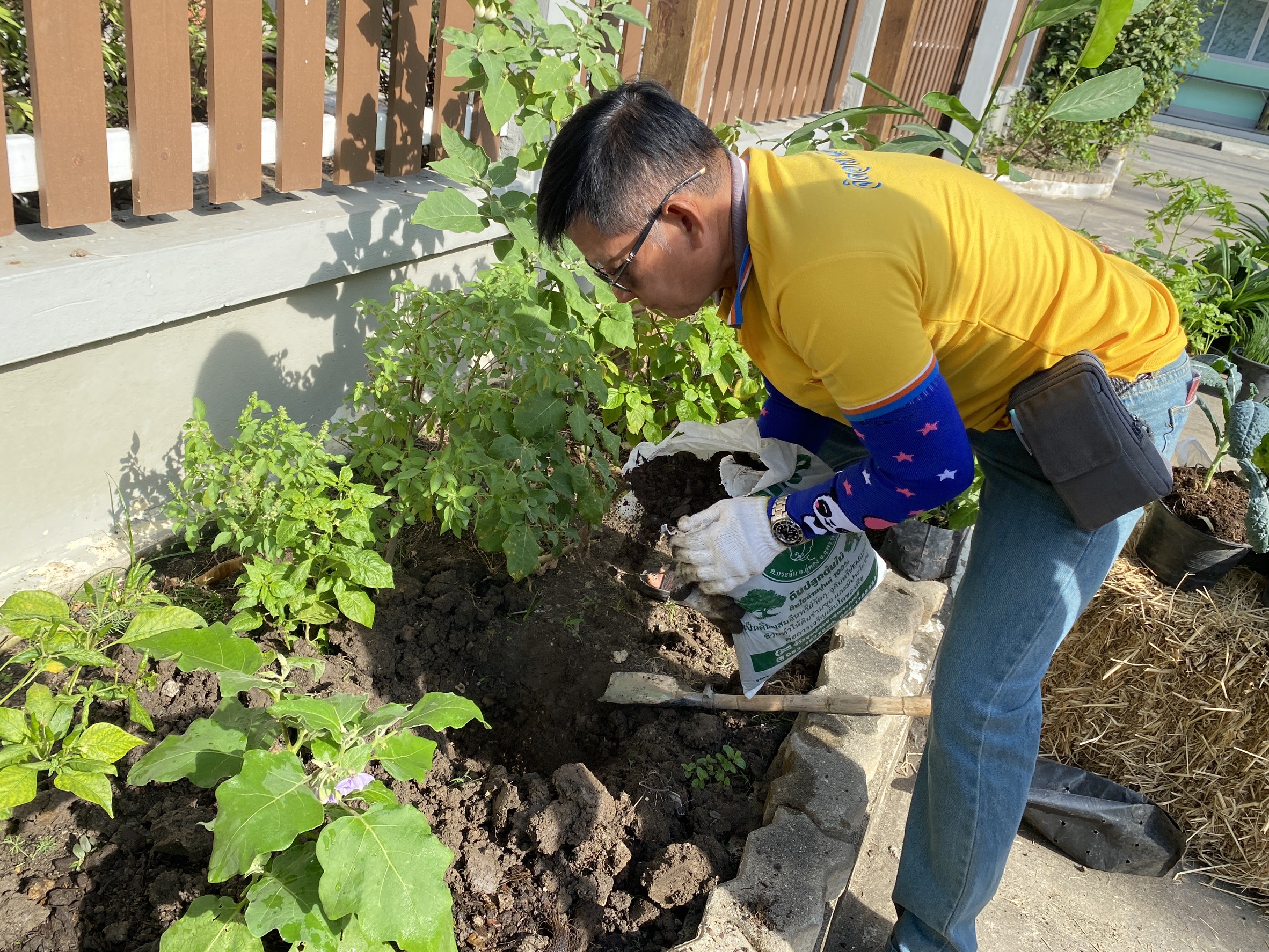 “สพอ.ไทรน้อยขับเคลื่อนกิจกรรมส่งเสริมการปลูกผักสวนครัวเพื่อสร้างความมั่นคงทางอาหาร (Food Security) “