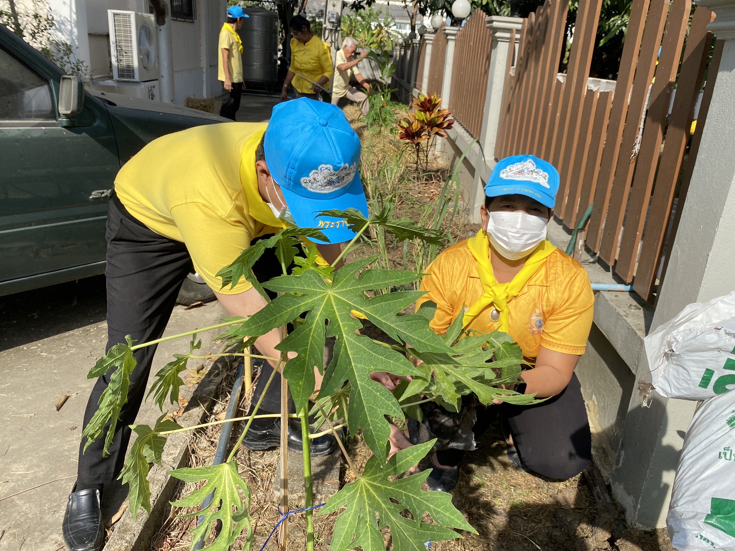 “สพอ.ไทรน้อยขับเคลื่อนกิจกรรมส่งเสริมการปลูกผักสวนครัวเพื่อสร้างความมั่นคงทางอาหาร (Food Security) “