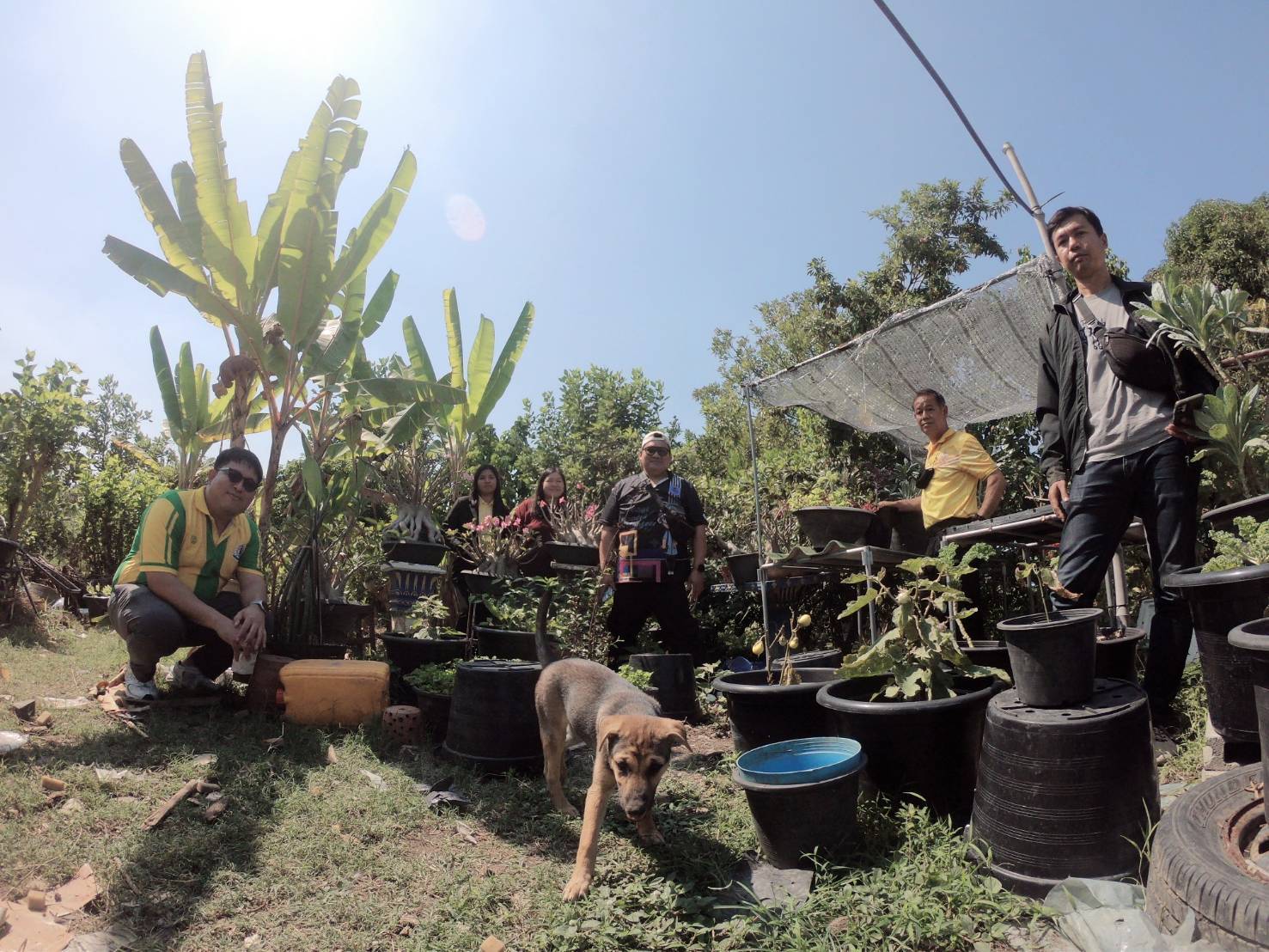 พช.บางกรวย น้อมนำแนวพระราชดำริของสมเด็จพระกนิษฐาธิราชเจ้า กรมสมเด็จพระเทพรัตนราชสุดาฯ สยามบรมราชกุมารี สู่แผนปฏิบัติการ ๙๐ วัน ปลูกผักสวนครัวเพื่อสร้างความมั่นคงทางอาหาร