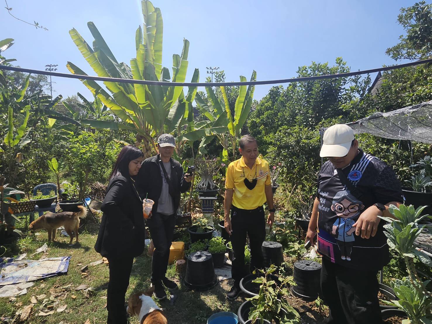พช.บางกรวย น้อมนำแนวพระราชดำริของสมเด็จพระกนิษฐาธิราชเจ้า กรมสมเด็จพระเทพรัตนราชสุดาฯ สยามบรมราชกุมารี สู่แผนปฏิบัติการ ๙๐ วัน ปลูกผักสวนครัวเพื่อสร้างความมั่นคงทางอาหาร