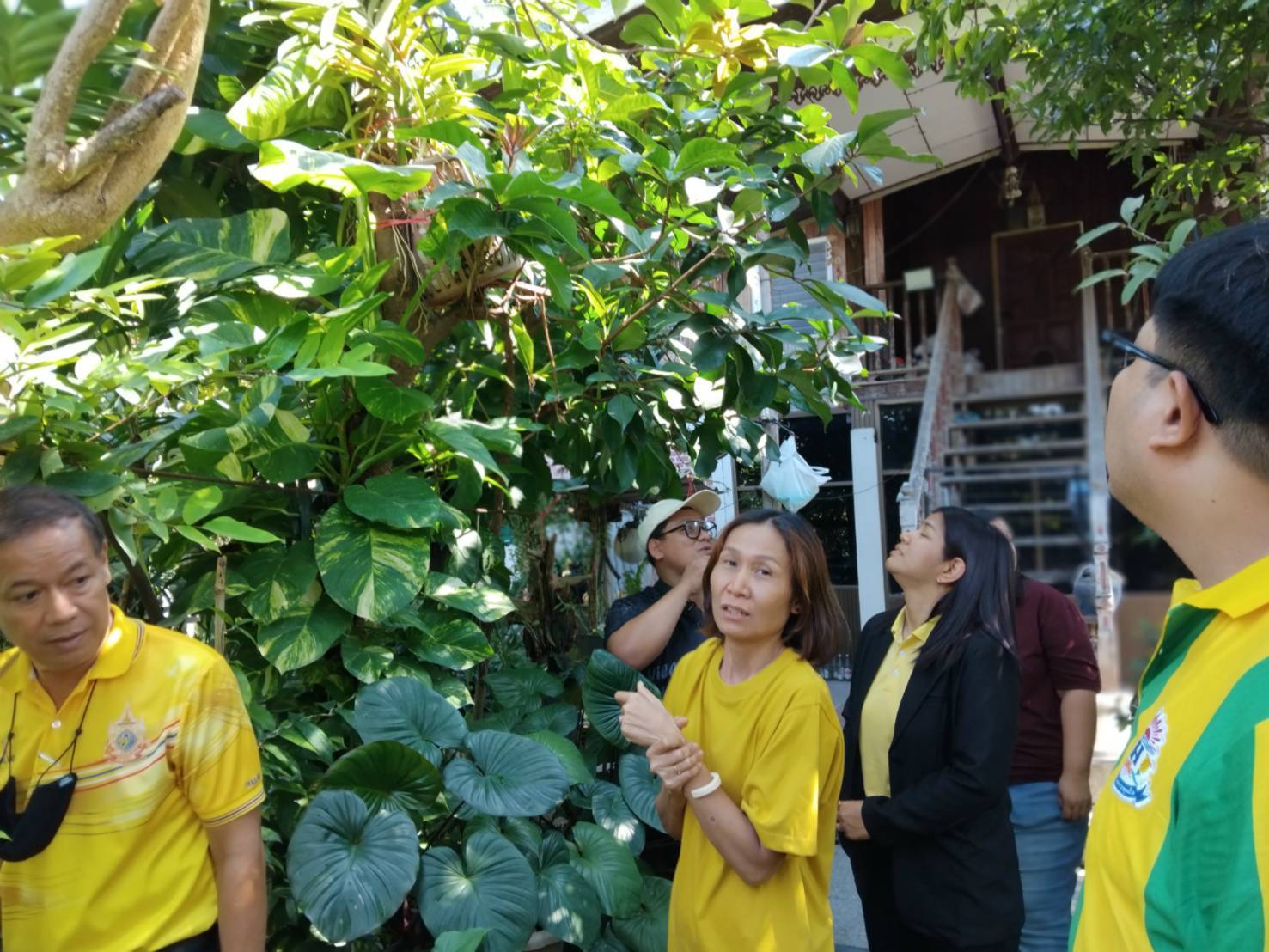 พช.บางกรวย น้อมนำแนวพระราชดำริของสมเด็จพระกนิษฐาธิราชเจ้า กรมสมเด็จพระเทพรัตนราชสุดาฯ สยามบรมราชกุมารี สู่แผนปฏิบัติการ ๙๐ วัน ปลูกผักสวนครัวเพื่อสร้างความมั่นคงทางอาหาร