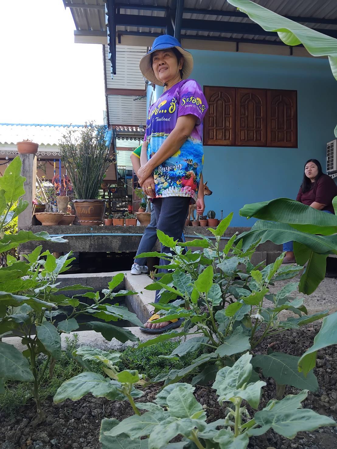 พช.บางกรวย น้อมนำแนวพระราชดำริของสมเด็จพระกนิษฐาธิราชเจ้า กรมสมเด็จพระเทพรัตนราชสุดาฯ สยามบรมราชกุมารี สู่แผนปฏิบัติการ ๙๐ วัน ปลูกผักสวนครัวเพื่อสร้างความมั่นคงทางอาหาร