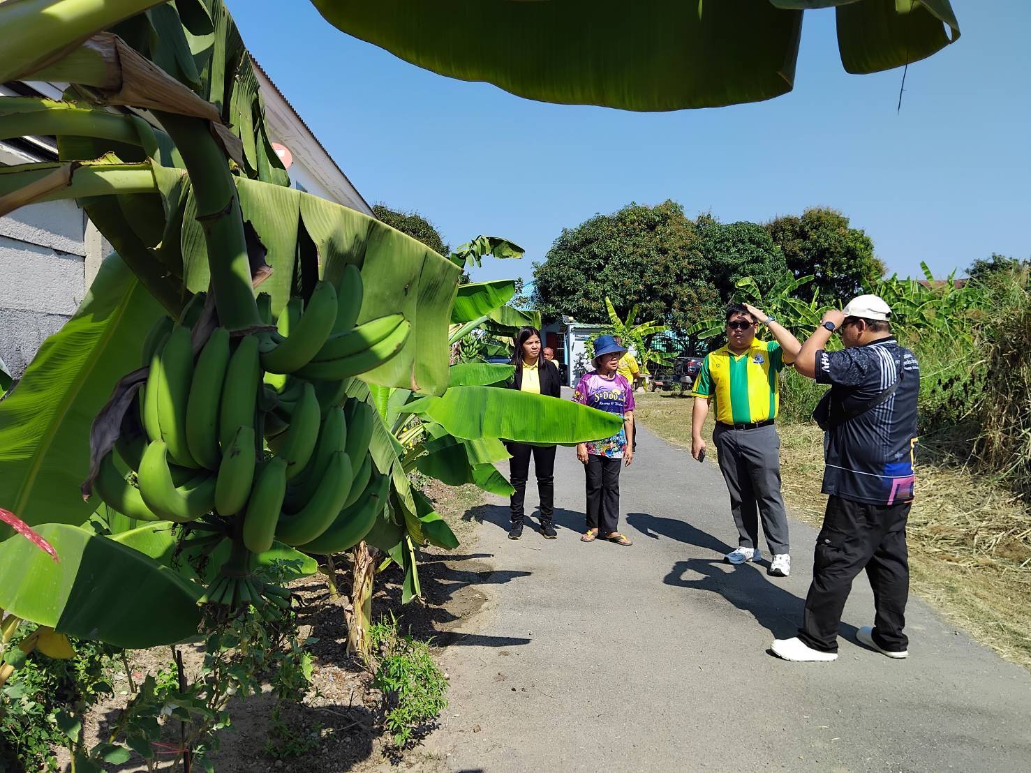 พช.บางกรวย น้อมนำแนวพระราชดำริของสมเด็จพระกนิษฐาธิราชเจ้า กรมสมเด็จพระเทพรัตนราชสุดาฯ สยามบรมราชกุมารี สู่แผนปฏิบัติการ ๙๐ วัน ปลูกผักสวนครัวเพื่อสร้างความมั่นคงทางอาหาร