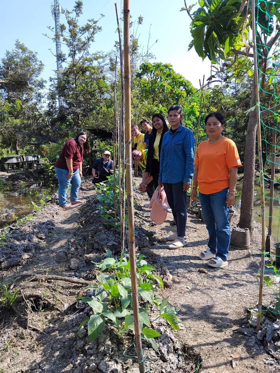 พช.บางกรวย น้อมนำแนวพระราชดำริของสมเด็จพระกนิษฐาธิราชเจ้า กรมสมเด็จพระเทพรัตนราชสุดาฯ สยามบรมราชกุมารี สู่แผนปฏิบัติการ ๙๐ วัน ปลูกผักสวนครัวเพื่อสร้างความมั่นคงทางอาหาร