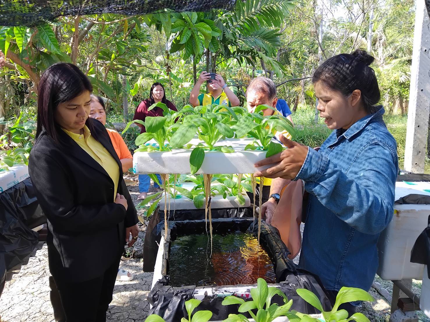 พช.บางกรวย น้อมนำแนวพระราชดำริของสมเด็จพระกนิษฐาธิราชเจ้า กรมสมเด็จพระเทพรัตนราชสุดาฯ สยามบรมราชกุมารี สู่แผนปฏิบัติการ ๙๐ วัน ปลูกผักสวนครัวเพื่อสร้างความมั่นคงทางอาหาร